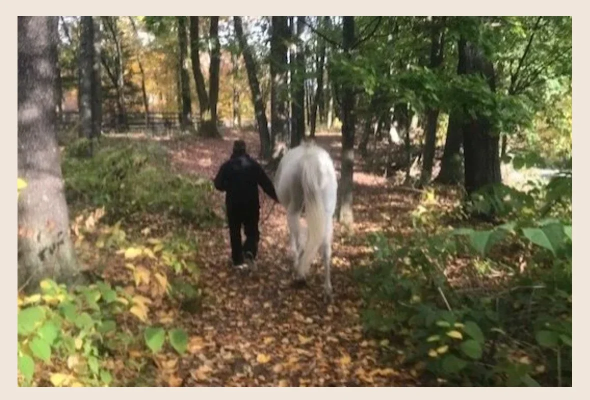 HORSE SENSE-Observing the Changes of the Seasons