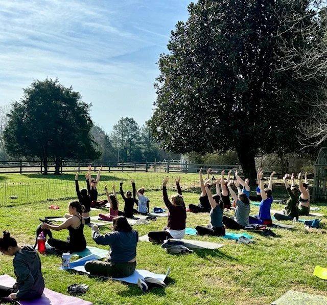 Gentle Yoga with Ashley Mayo