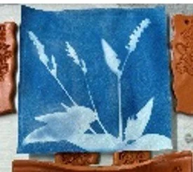 Sun Prints with Botanicals