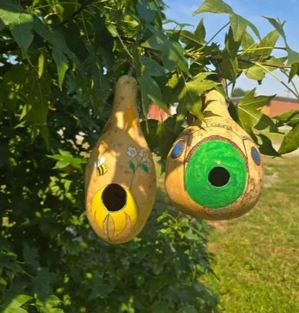 Gourd Birdhouse Workshop