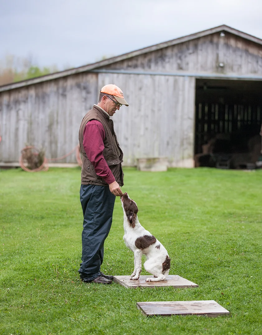 Todd_Agnew_Craney_Hill_Kennel_Spaniels.jpg