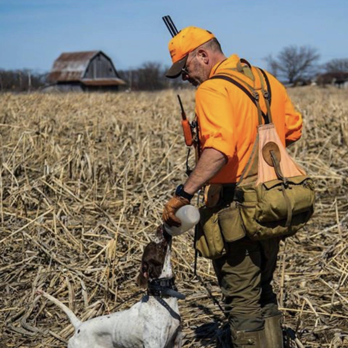steve snell gun dog supply