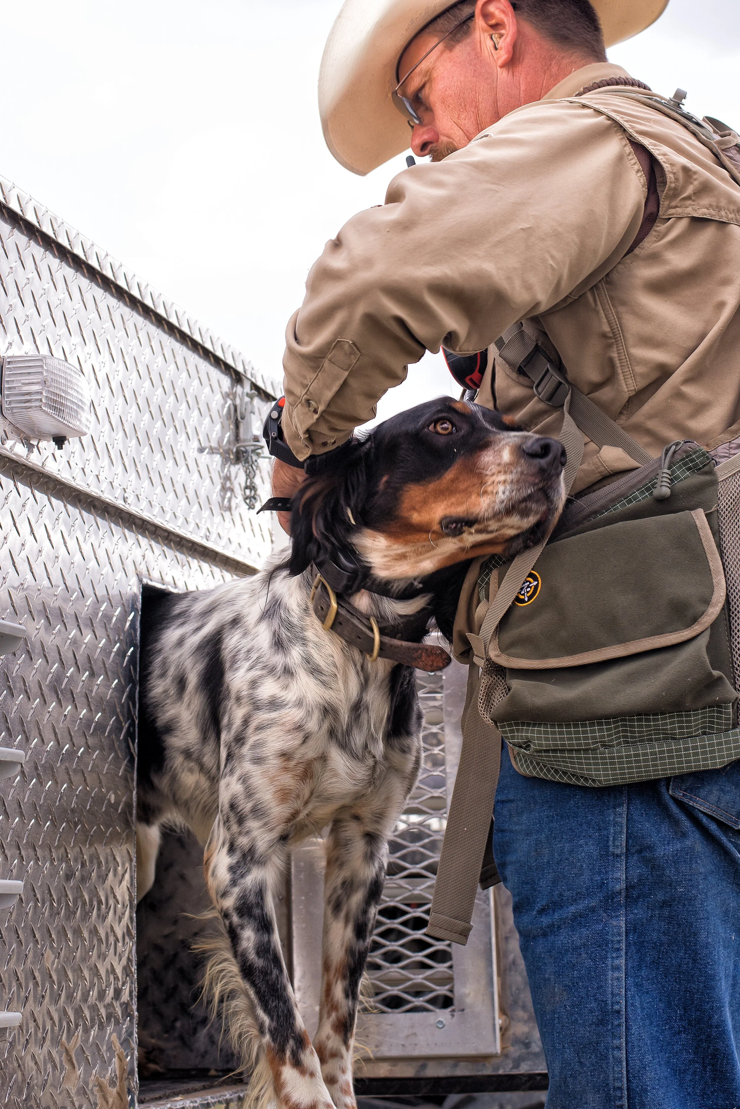 ronnie smith dog training