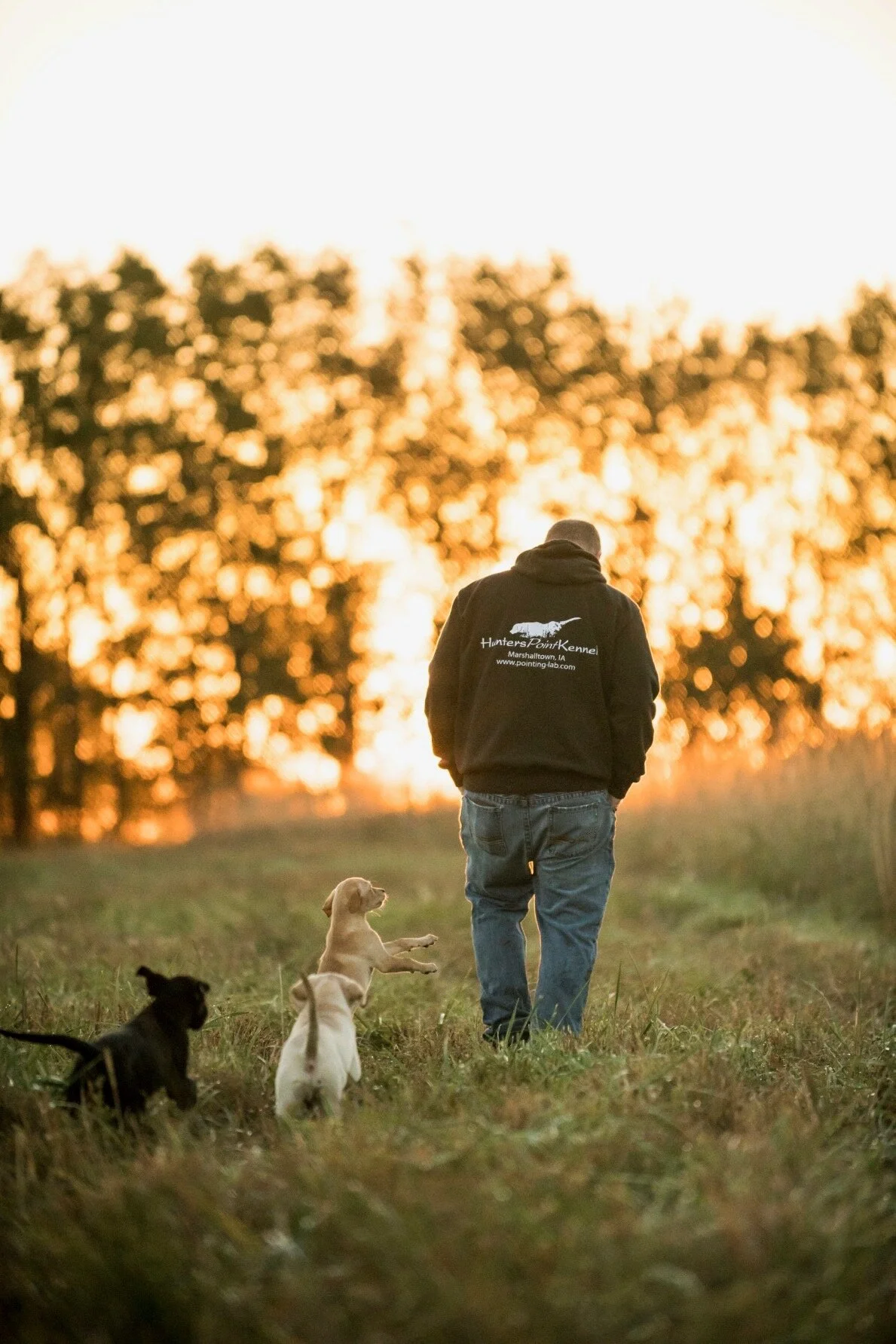 hunter point kennels