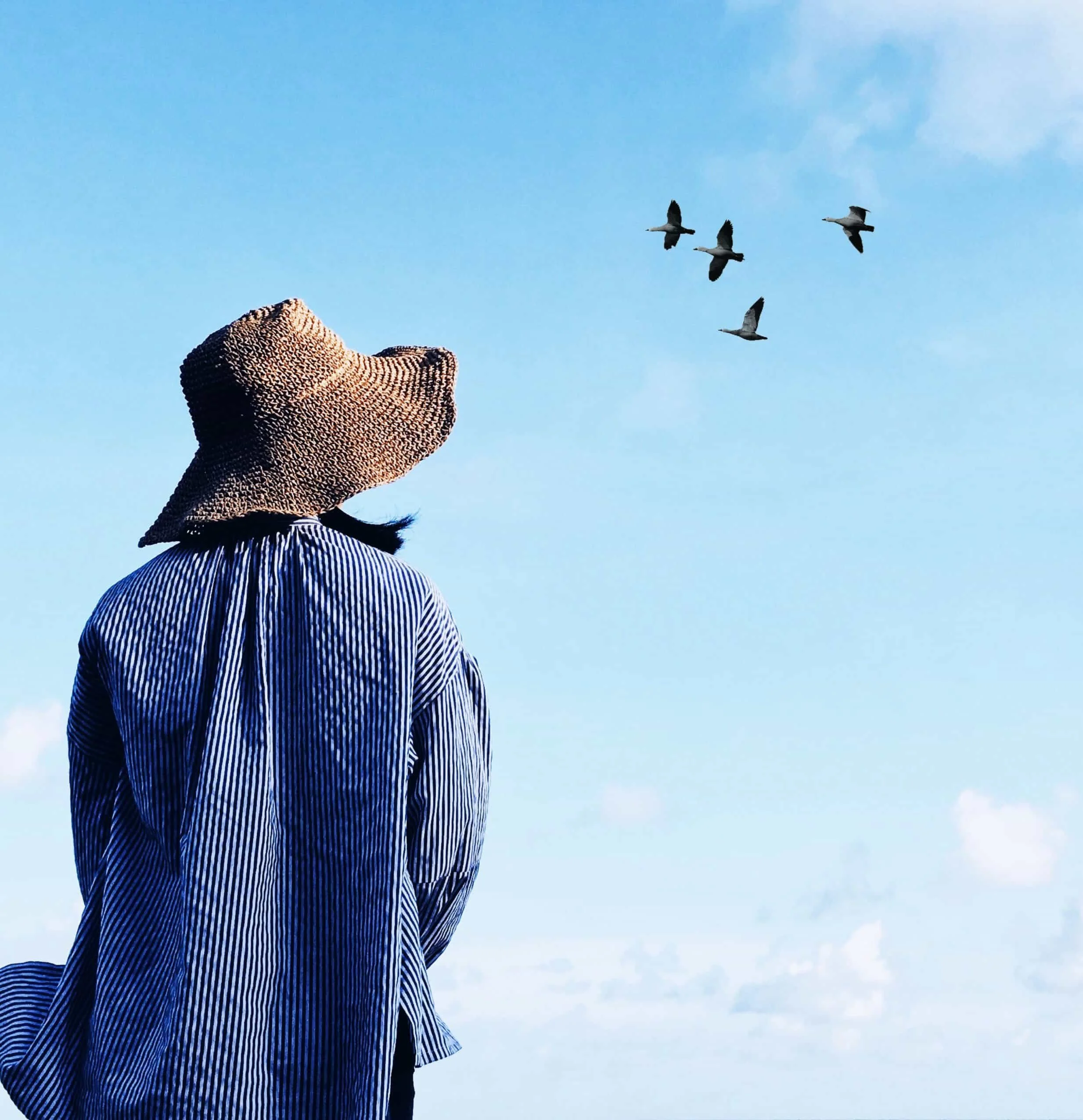 woman looking out at a flock of birds