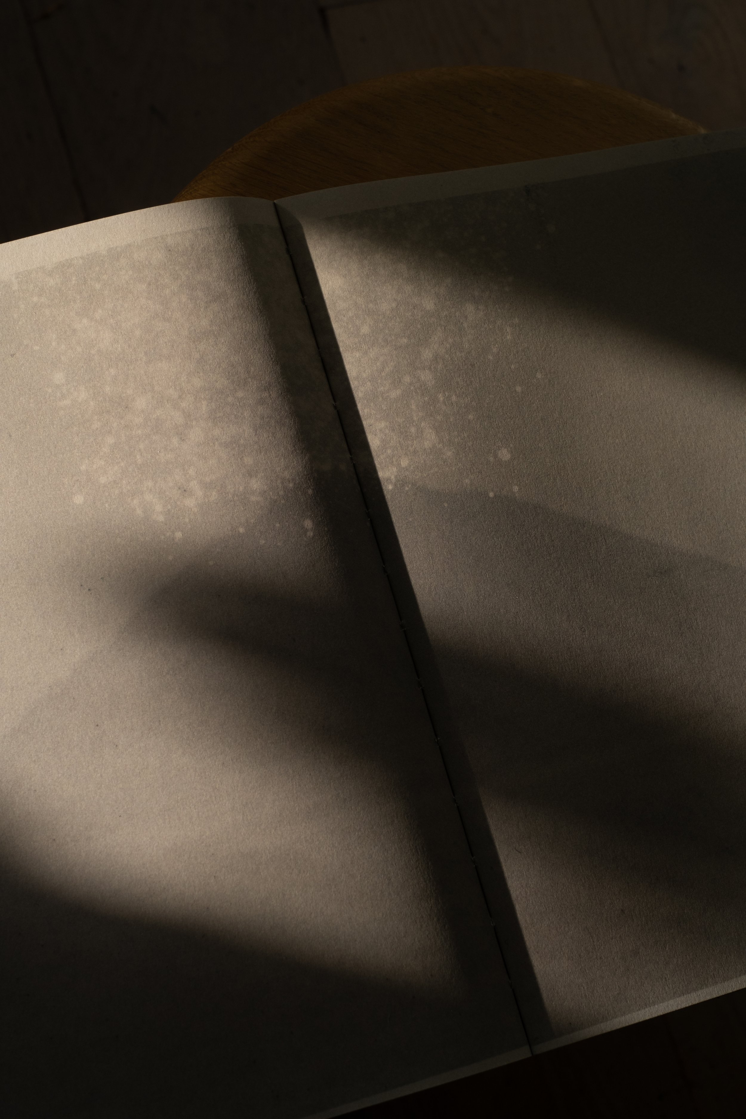 Book_teaser_2_Final-6.jpg