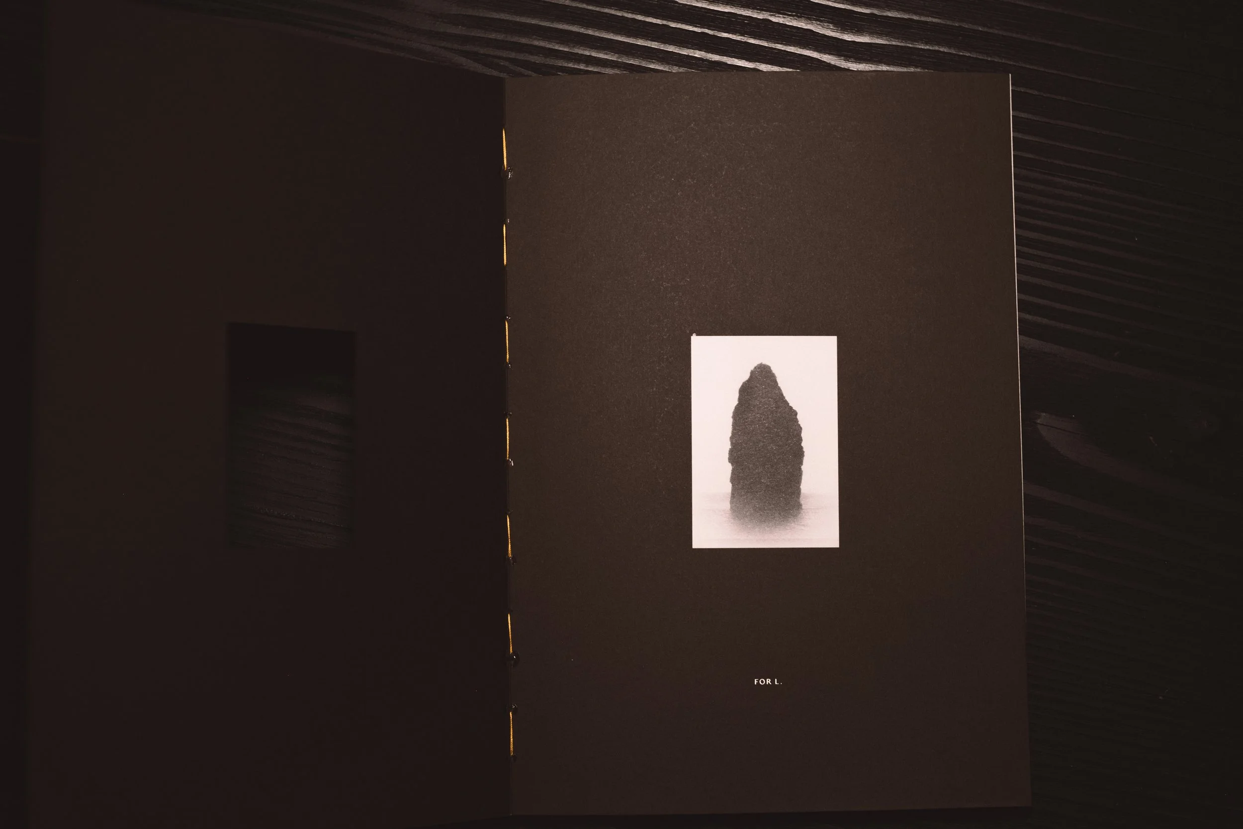 Book_teaser_FINAL-21.jpg