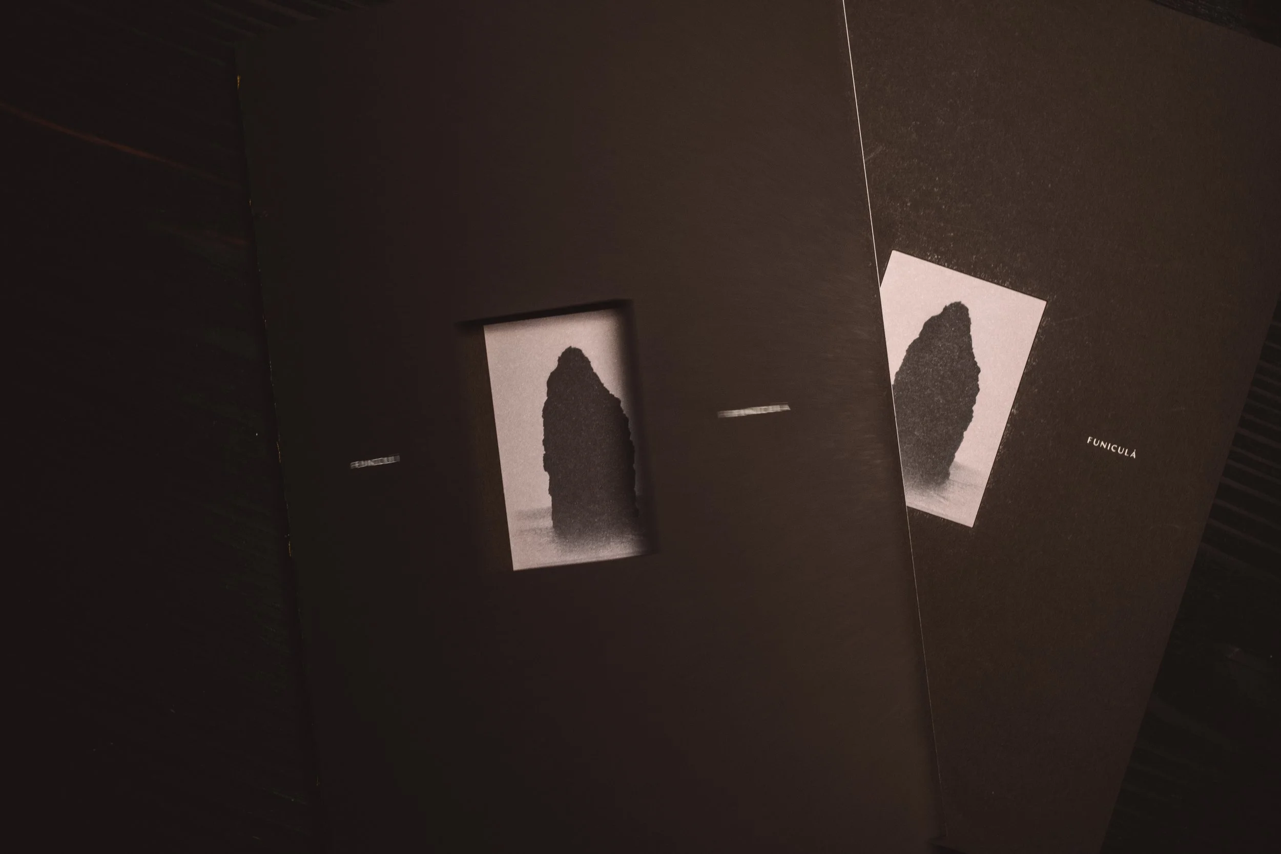 Book_teaser_FINAL-34.jpg