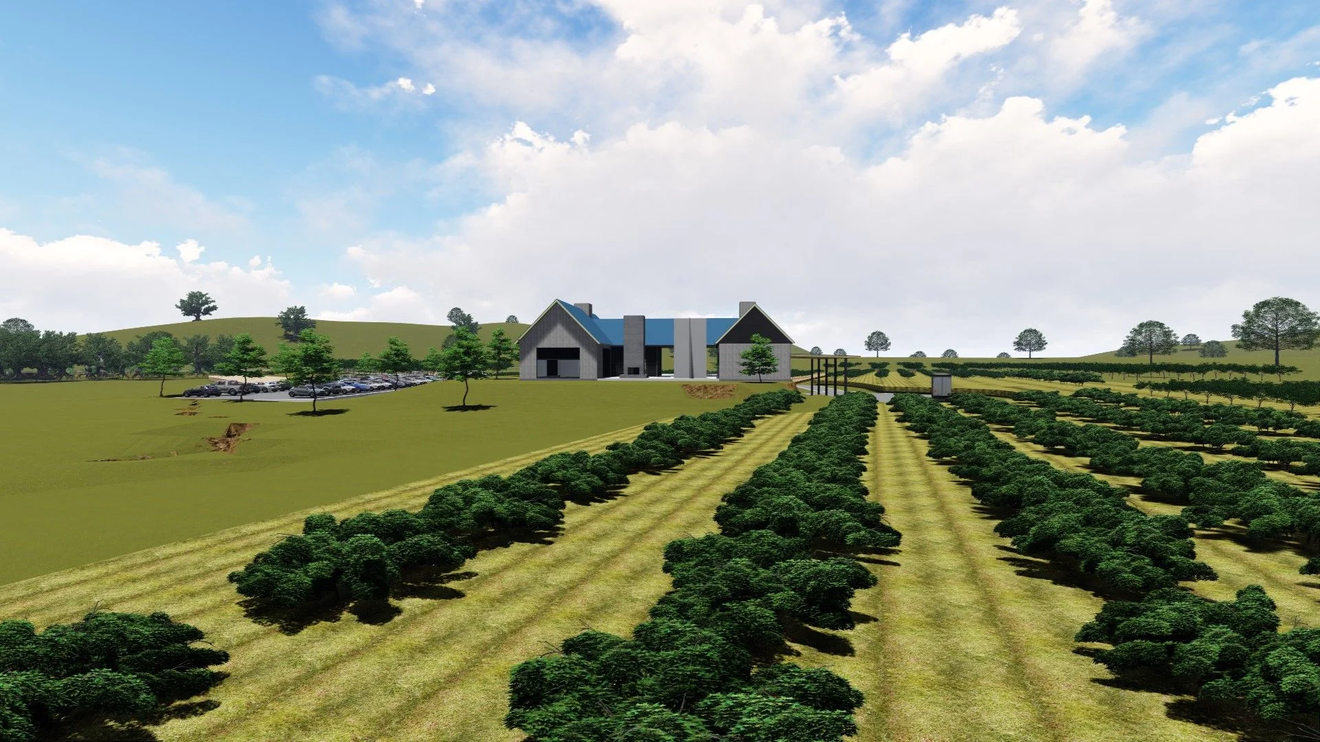 strange-family-winery_vineyard-1.jpg