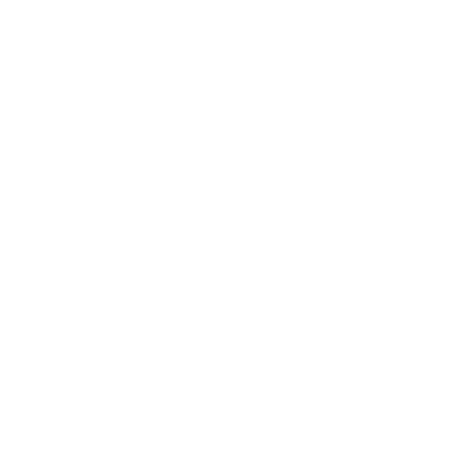S2G_Logo-White_Web-Translucent-2.png