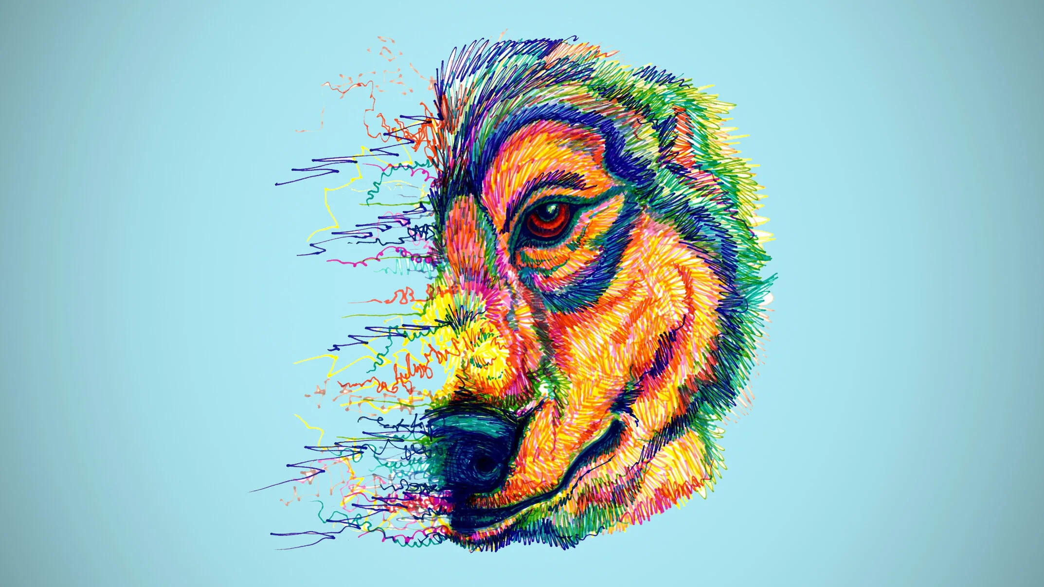 wolf.jpg