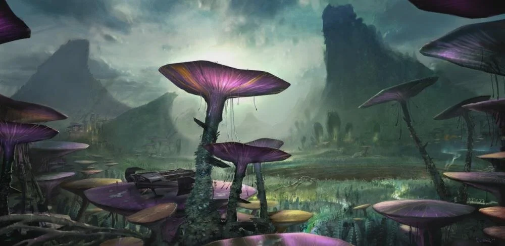 Mycelium.jpg