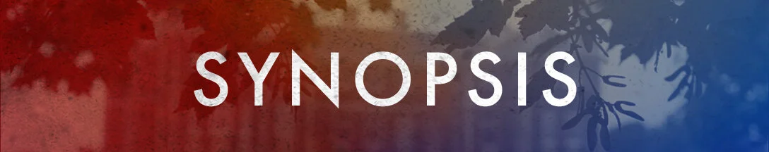 synopsis.jpg