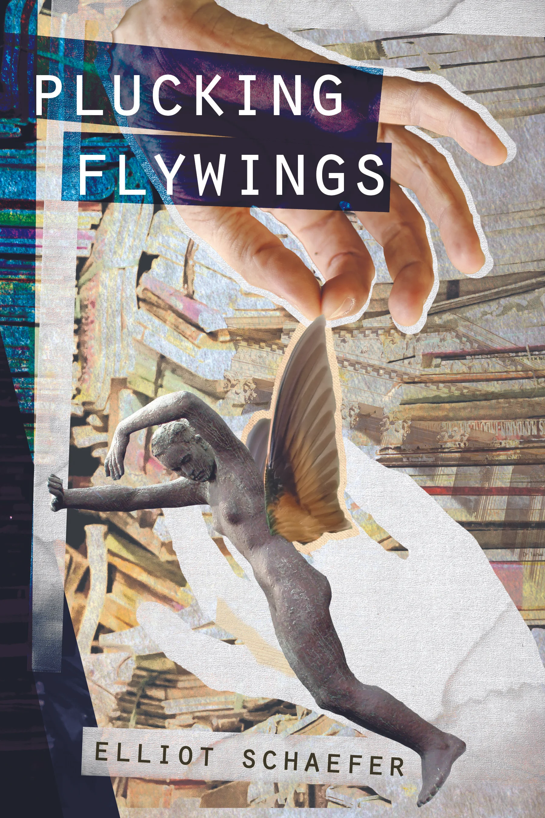 PluckingFlywings.jpg