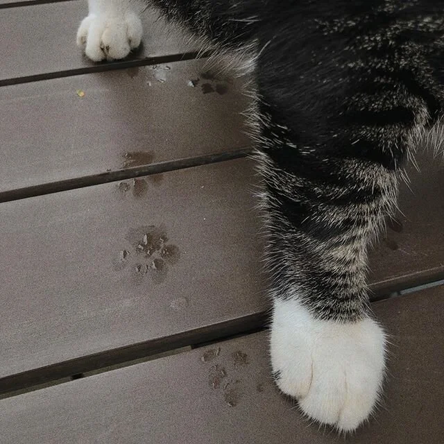 the first weekend of phase 2 is overrrr 🥳🥳🥳 how&rsquo;s everyone feeling? 😬 with that said, we will be implementing tighter measures around micro for the well-being and safety of y&rsquo;all 🌿 ⠀⠀⠀⠀⠀⠀⠀⠀⠀
- SafeEntry QR codes will be pasted around