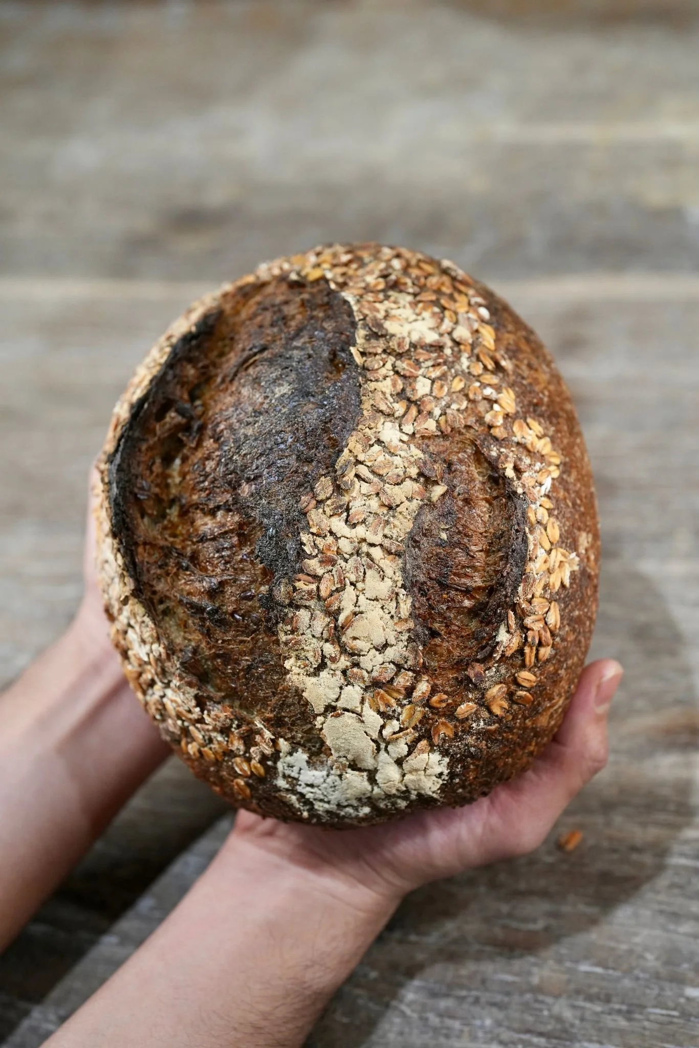 WhatsApp Image 2025-07-31 at 11.15.40.jpeg