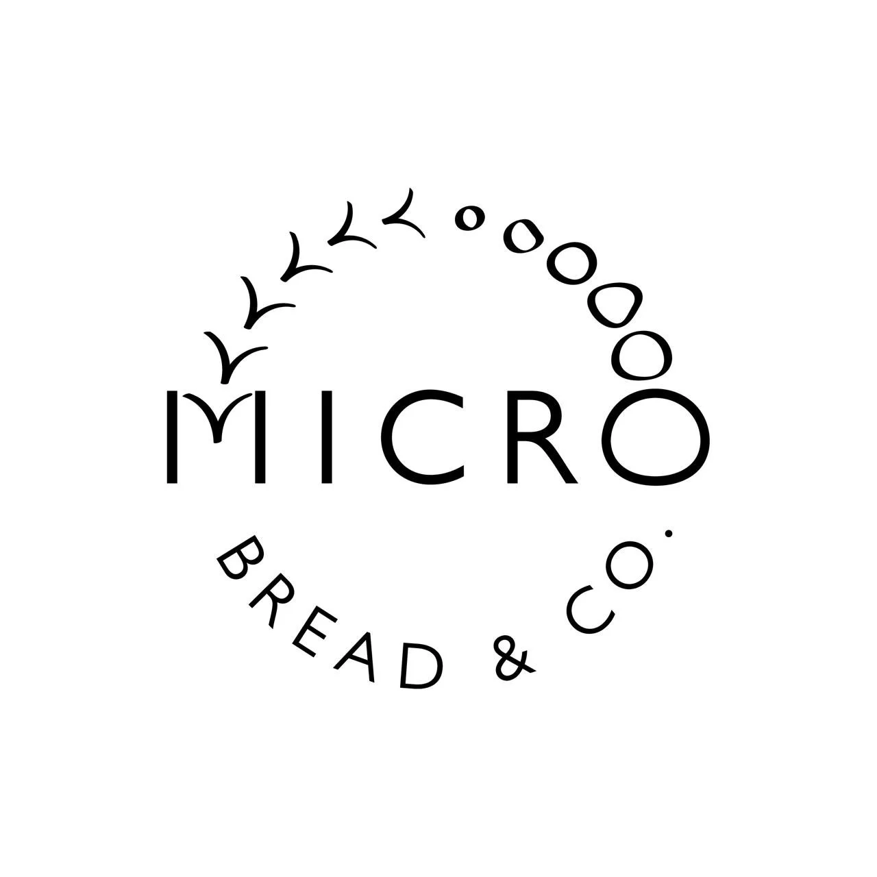 MICRO
