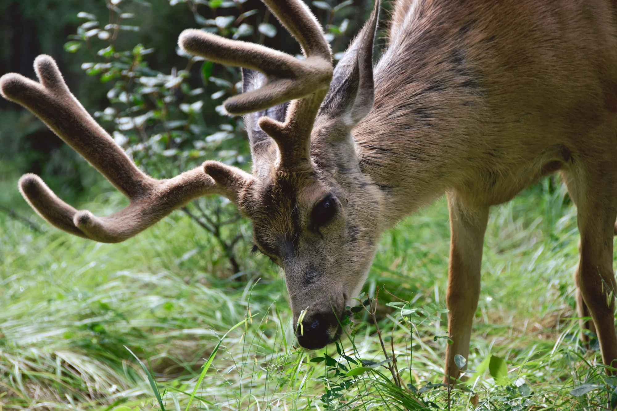 save-new 14 copy.JPG