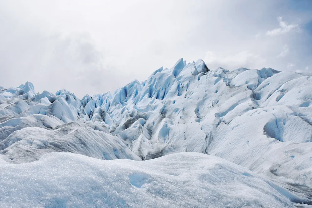 save-new-6 copy.jpeg