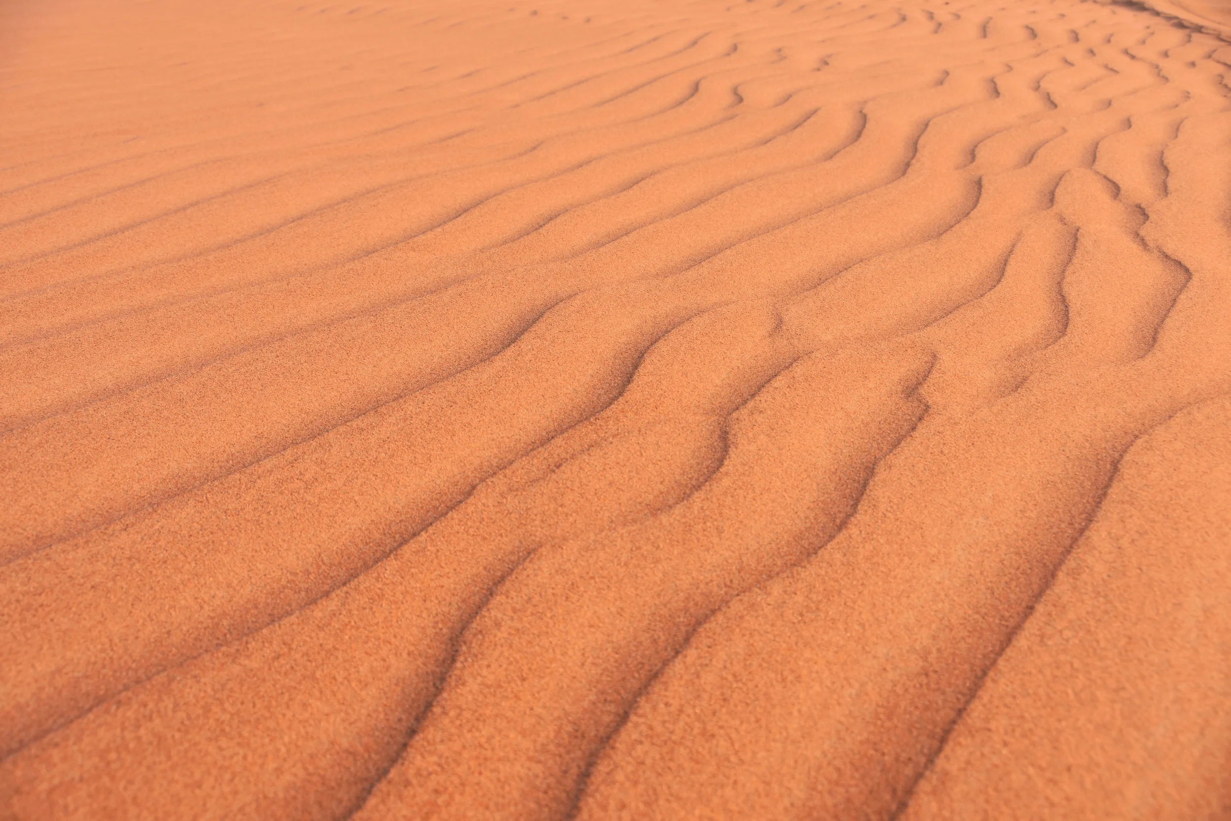  Arabian Desert in Dubai (December 23, 2018) 
