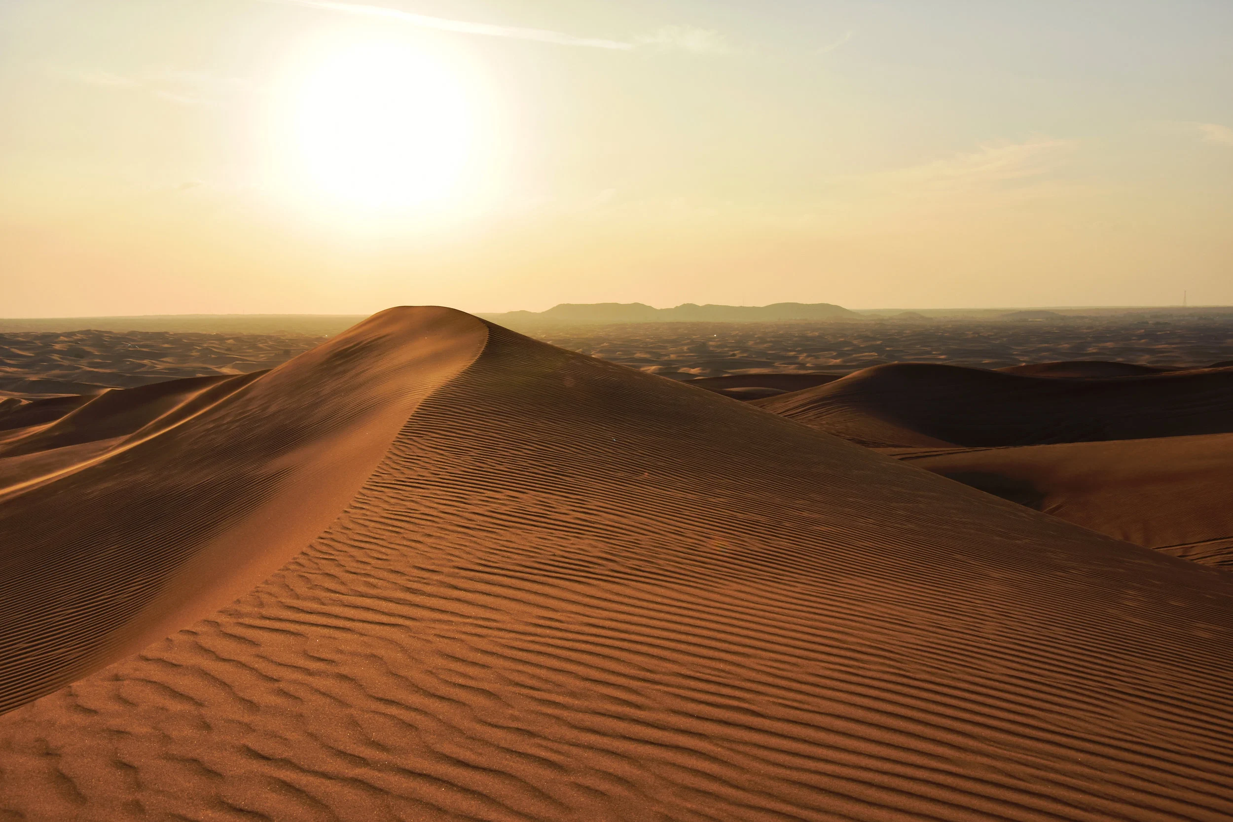  Arabian Desert in Dubai (December 23, 2018) 
