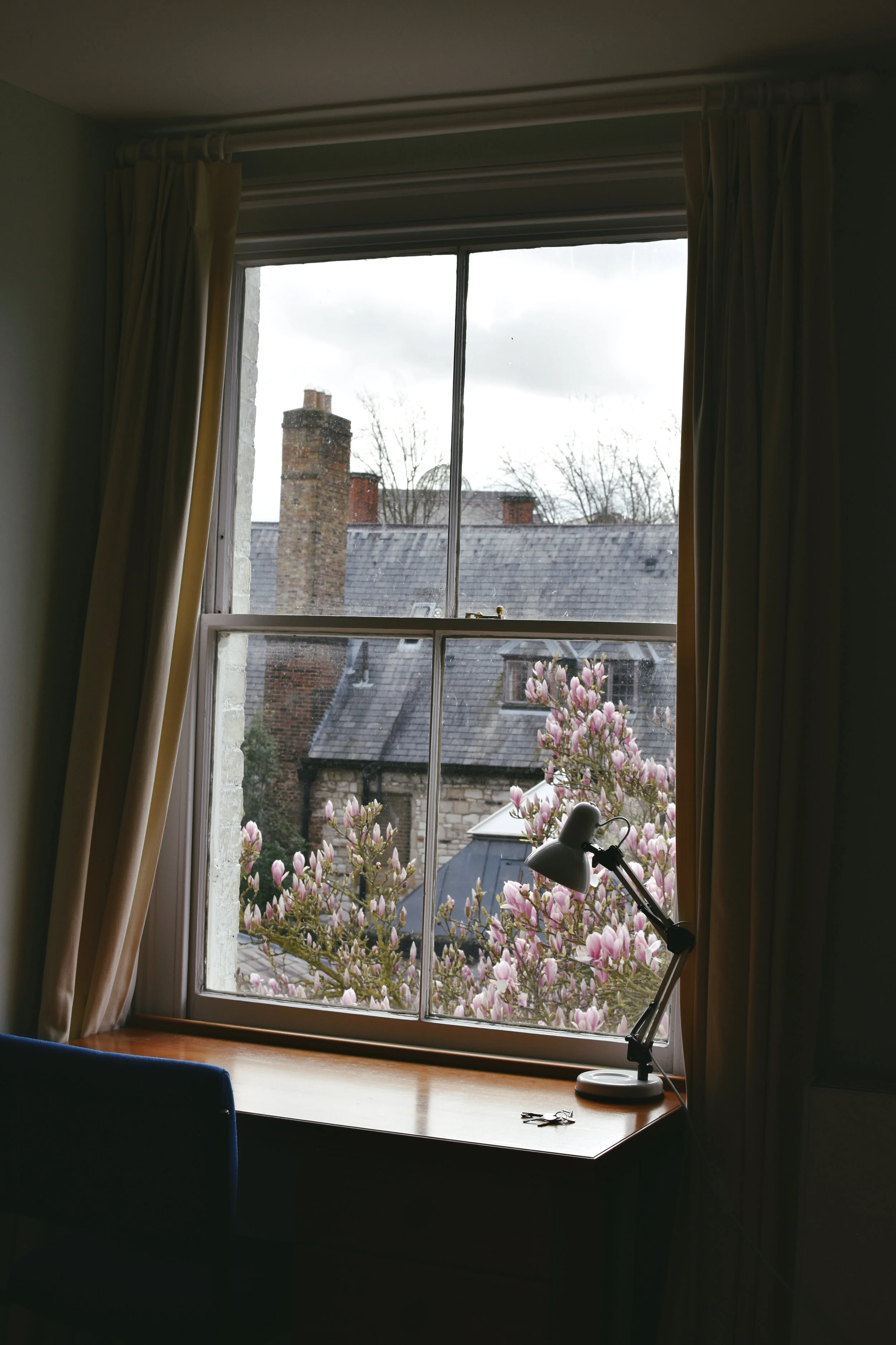  Dorm view at 5 Little St. Mary’s Lane in Cambridge, England (March 10, 2020) 