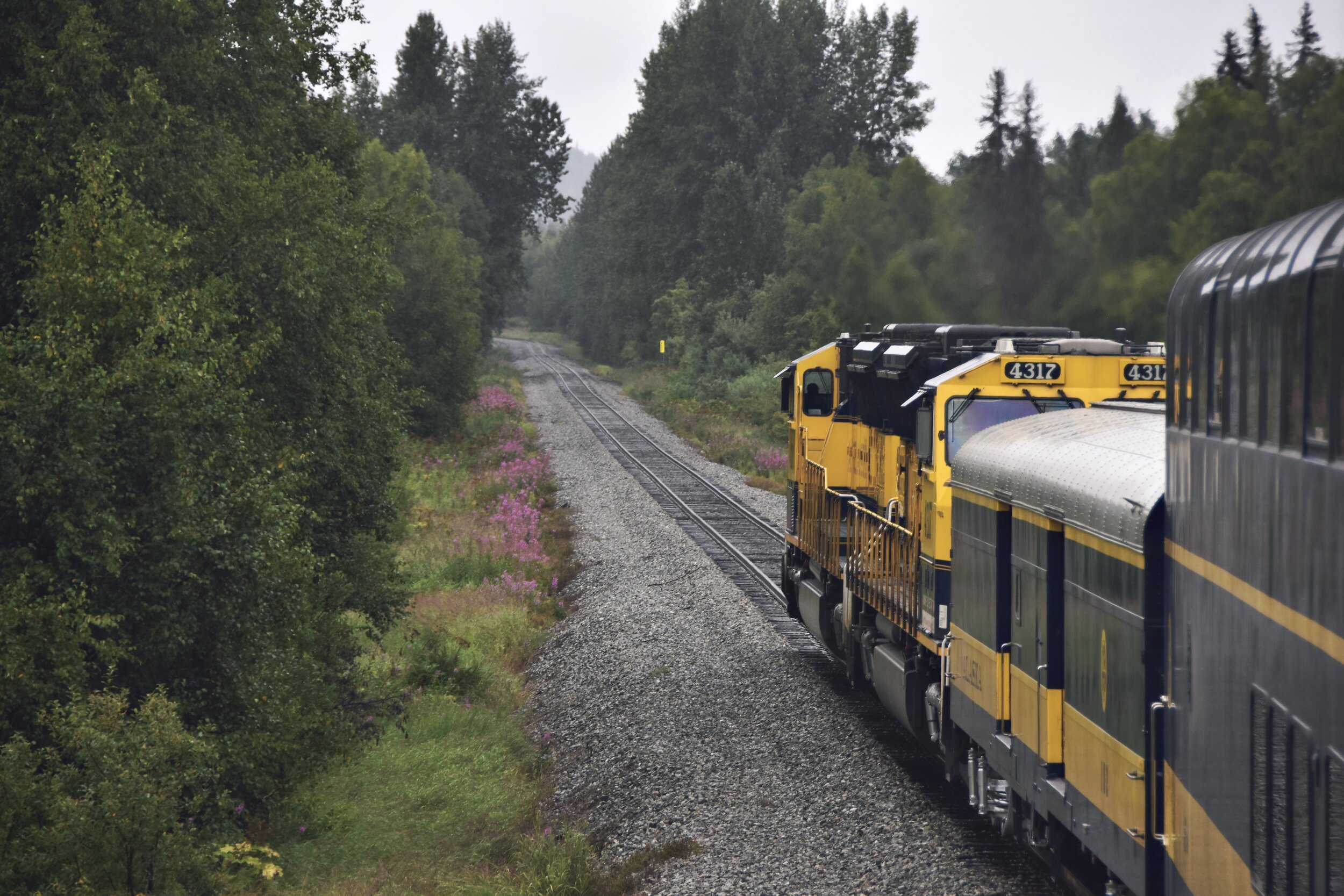 Train to Denali National Park in Anchorage, Alaska (August 8, 2021)