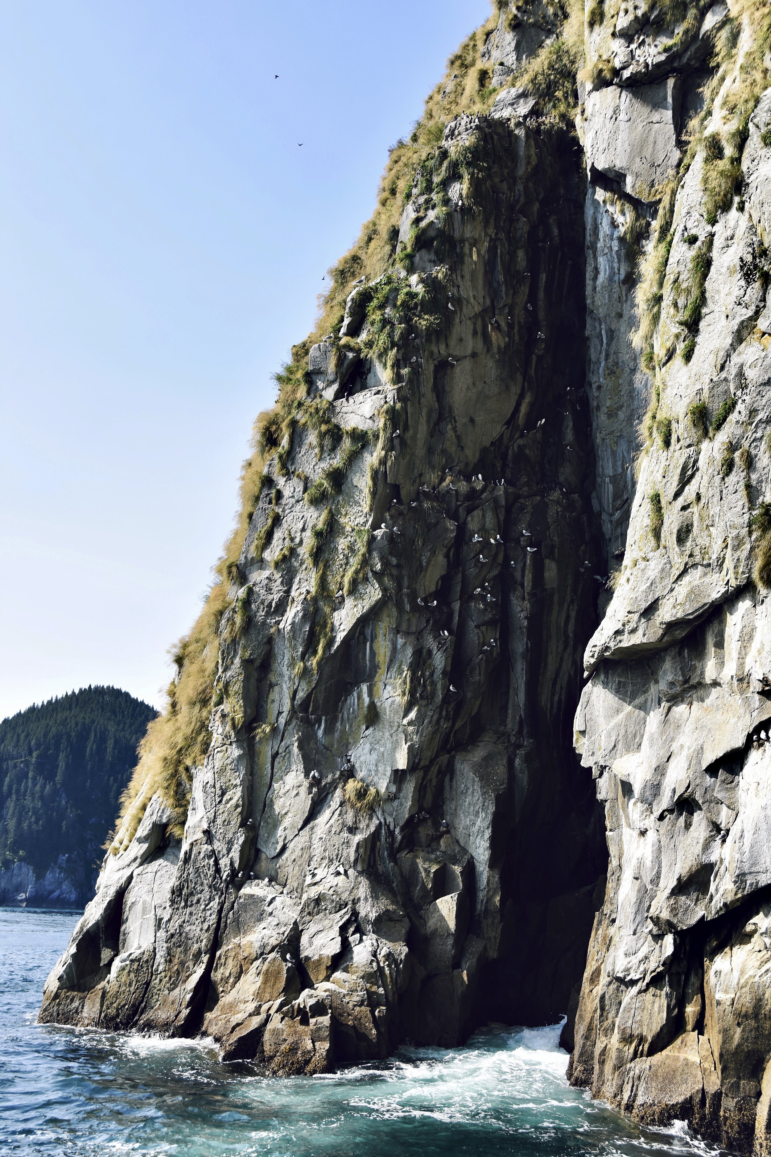 Seagull nesting cave in Seward, Alaska (August 13, 2021)