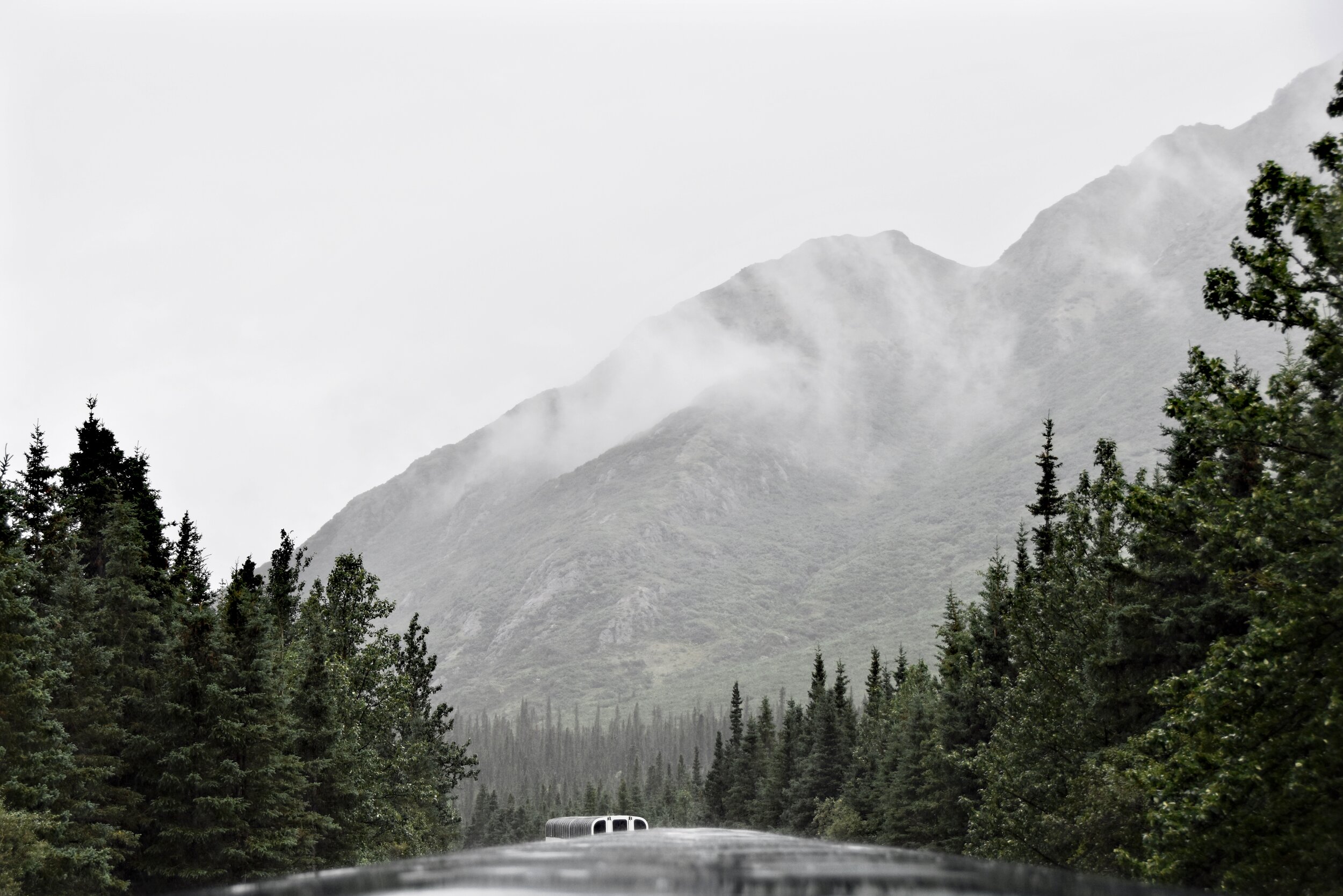Mountain views aboard the train to Denali (August 8, 2021)