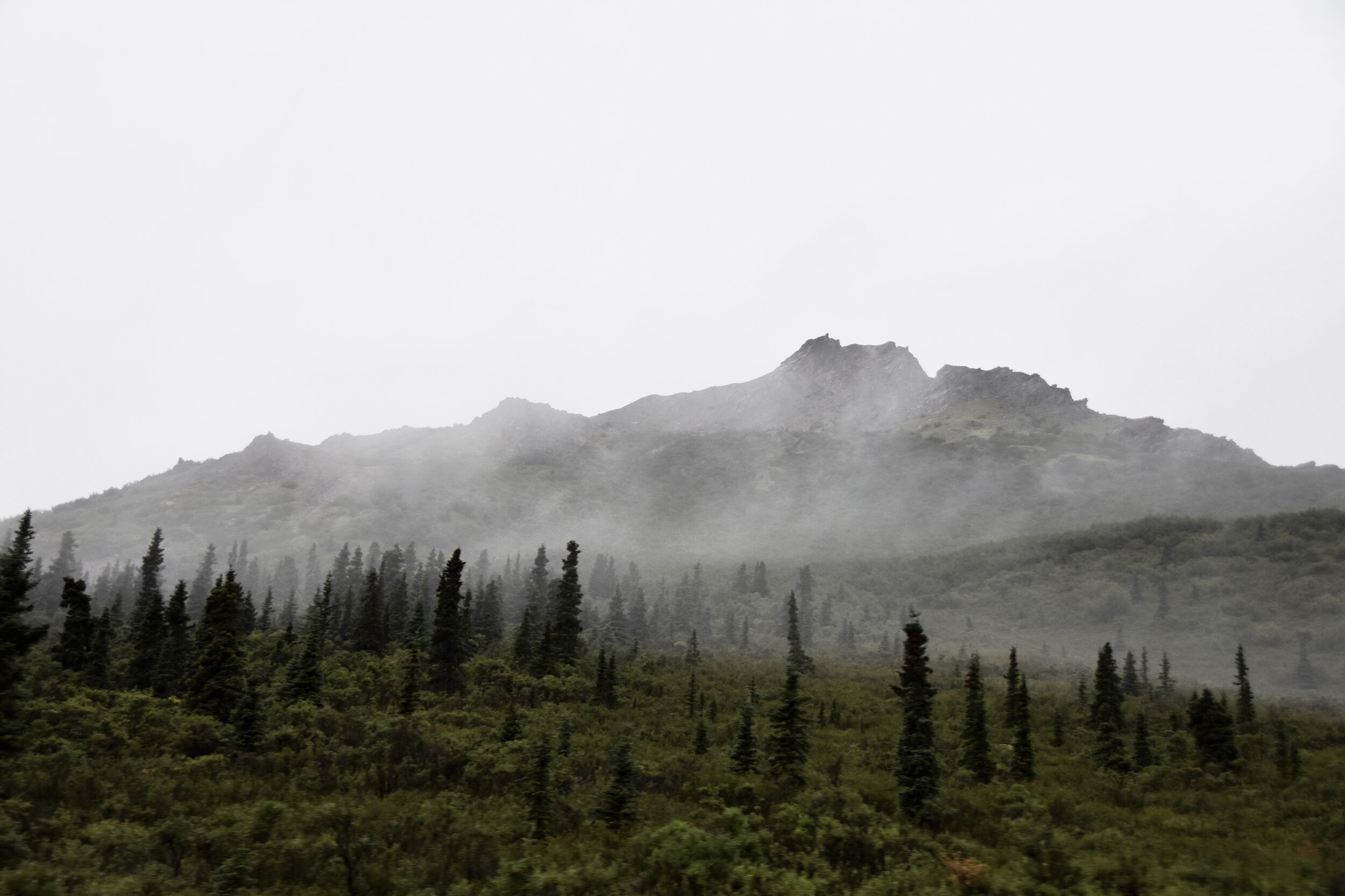Mountains and rolling fog in Denali National Park (August 9, 2021)