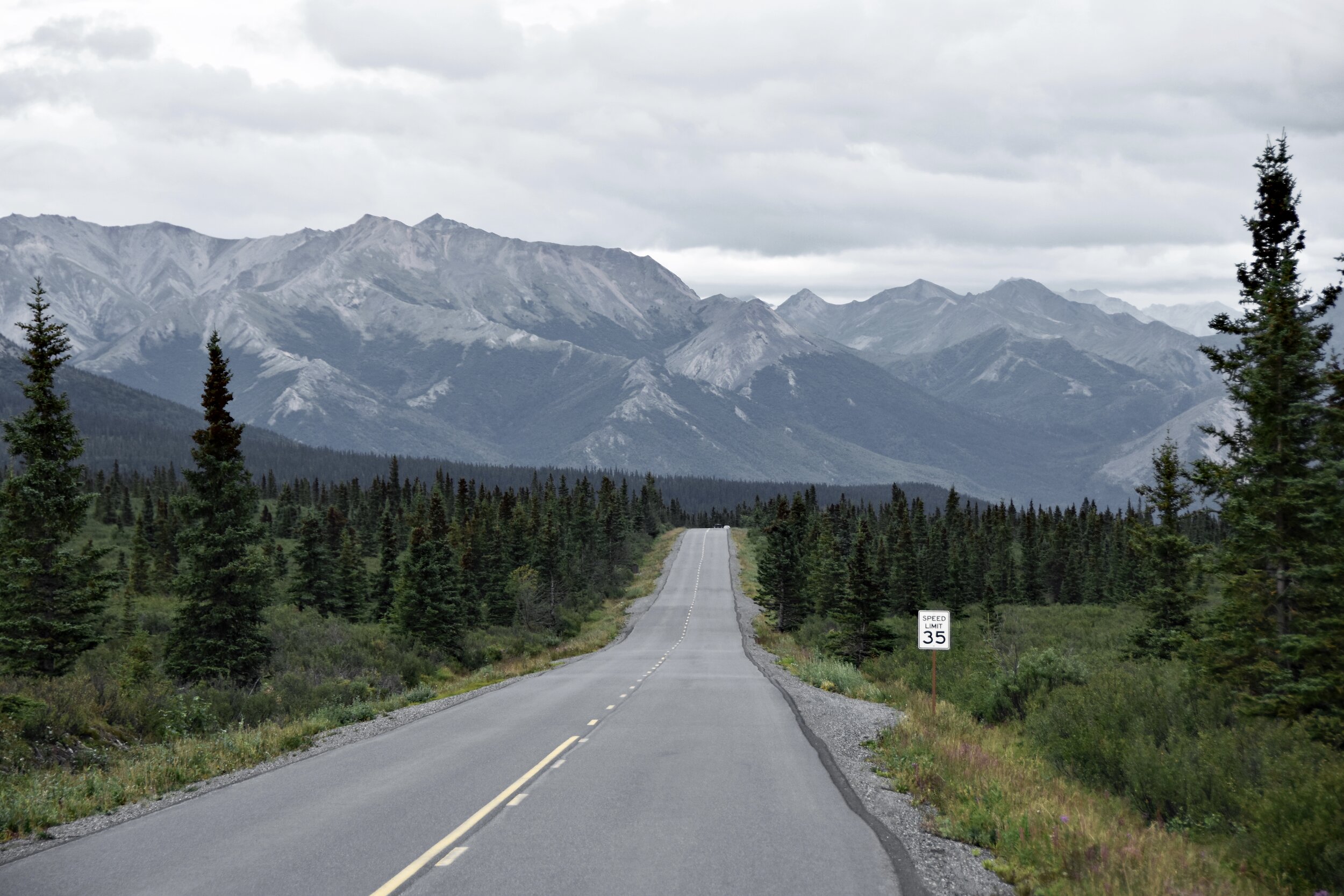 First leg of the bus trip into Denali National Park (August 9, 2021)