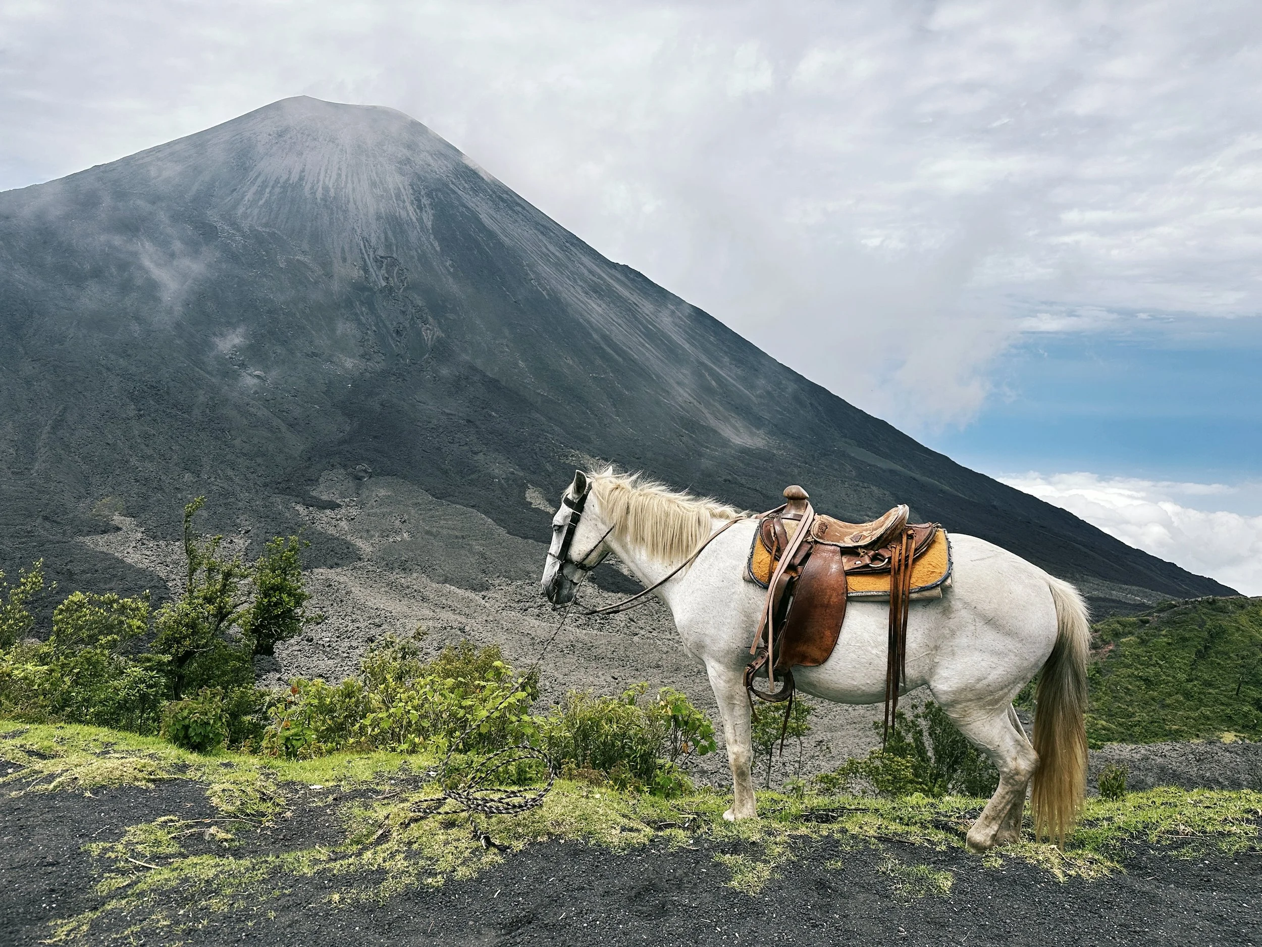  Parque Nacional Volcán de Pacaya y Laguna de Calderas. Shot on iPhone. July 9, 2023 