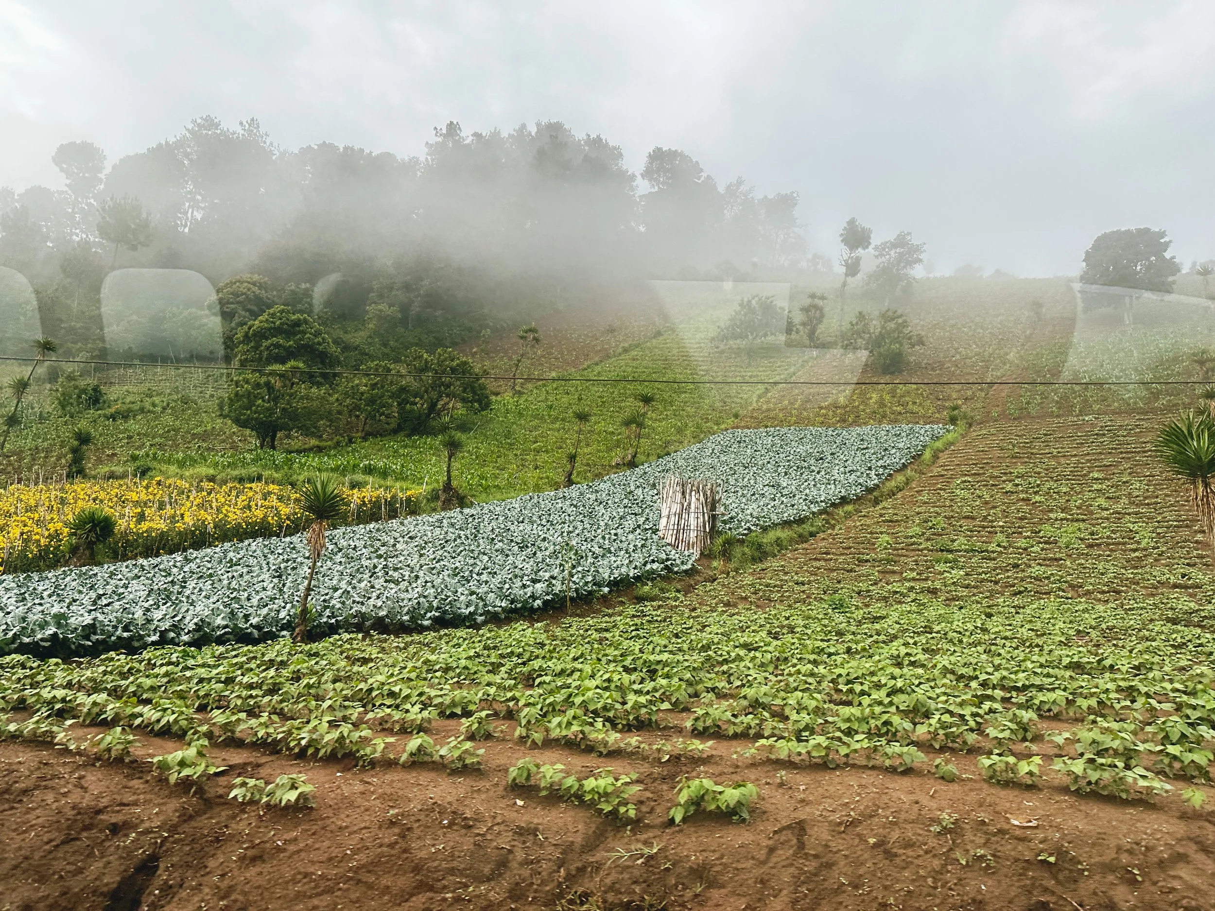  Panajachel. July 8, 2023 