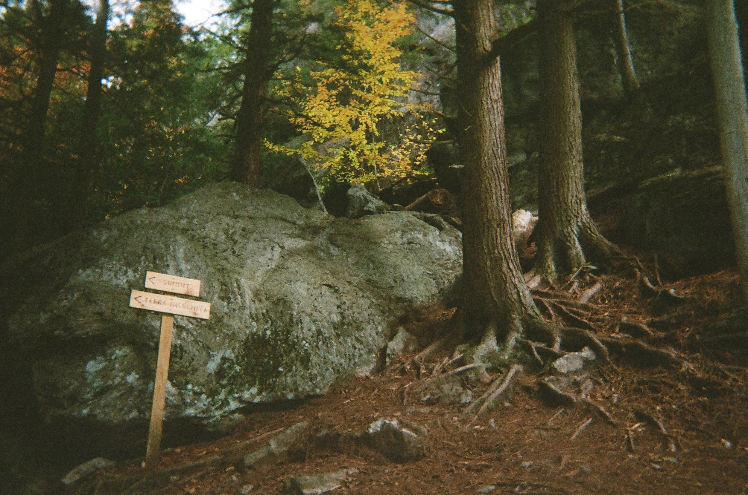 Nov 2023. Kodak film. Otter cliffs. 