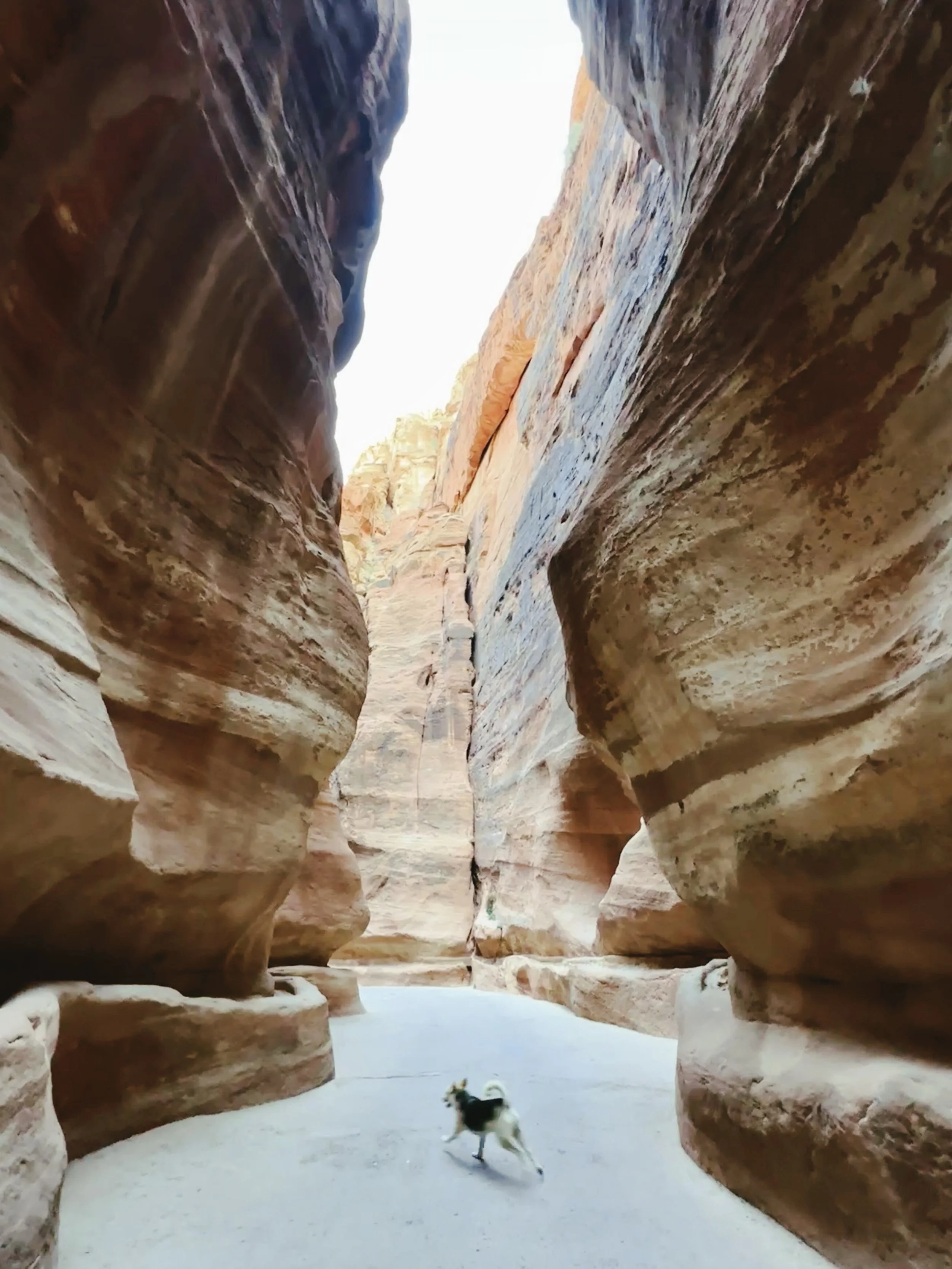  March 2024. Petra. 