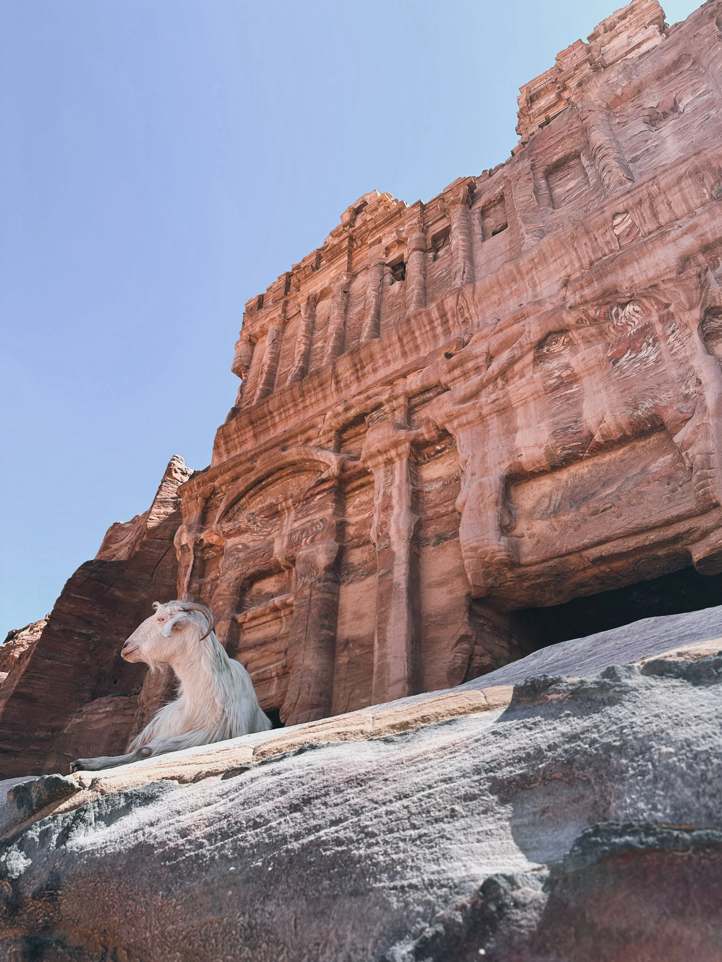  March 2024. Petra. 