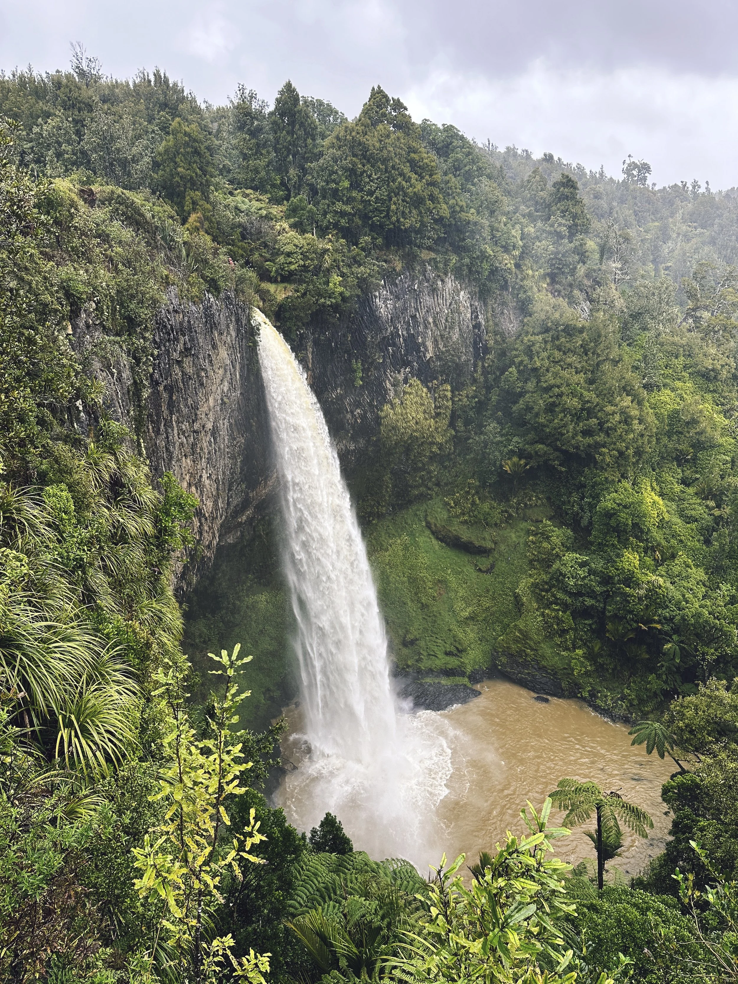  Aug 2024. Waireinga waterfall. 