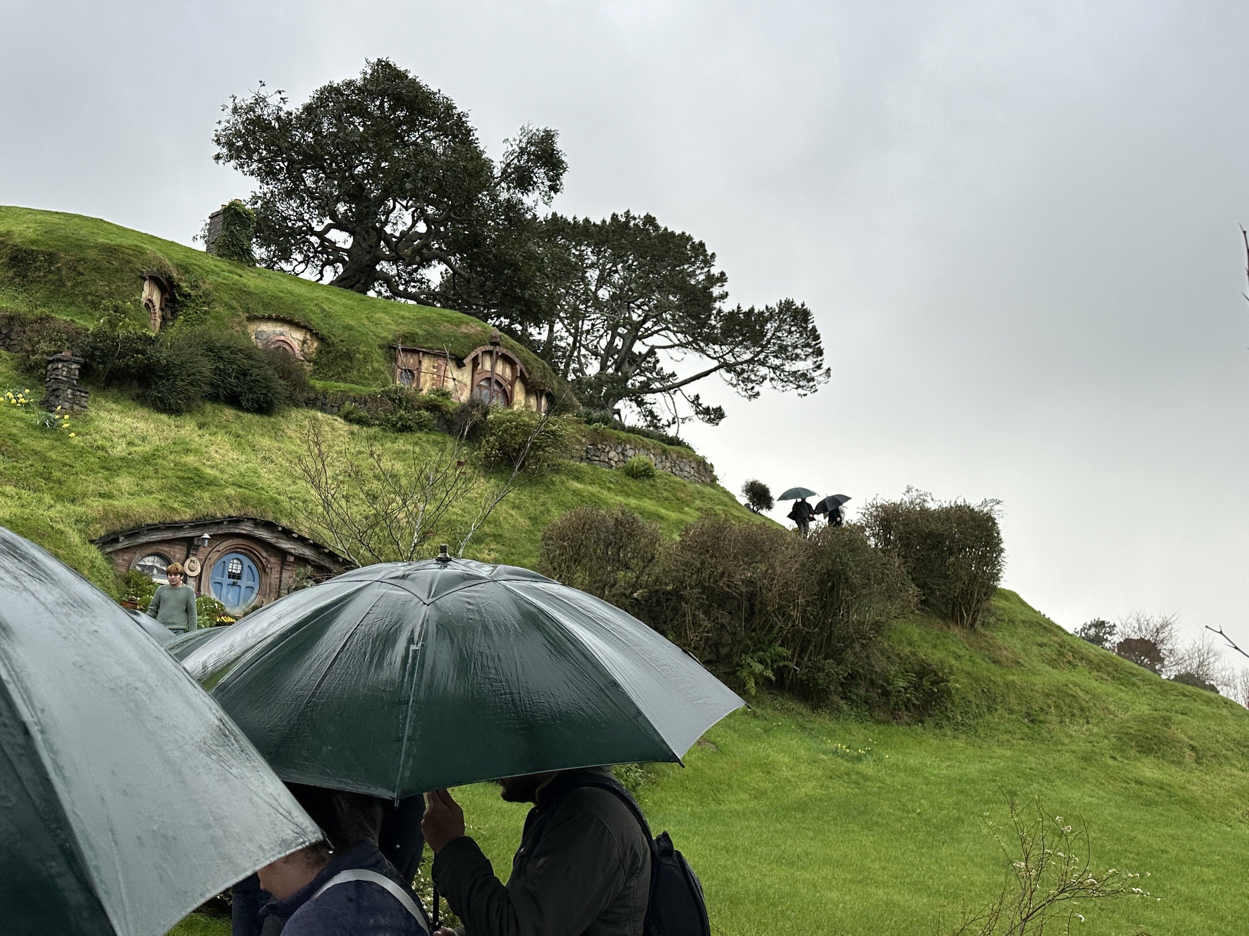  Aug 2024. Hobbiton. 