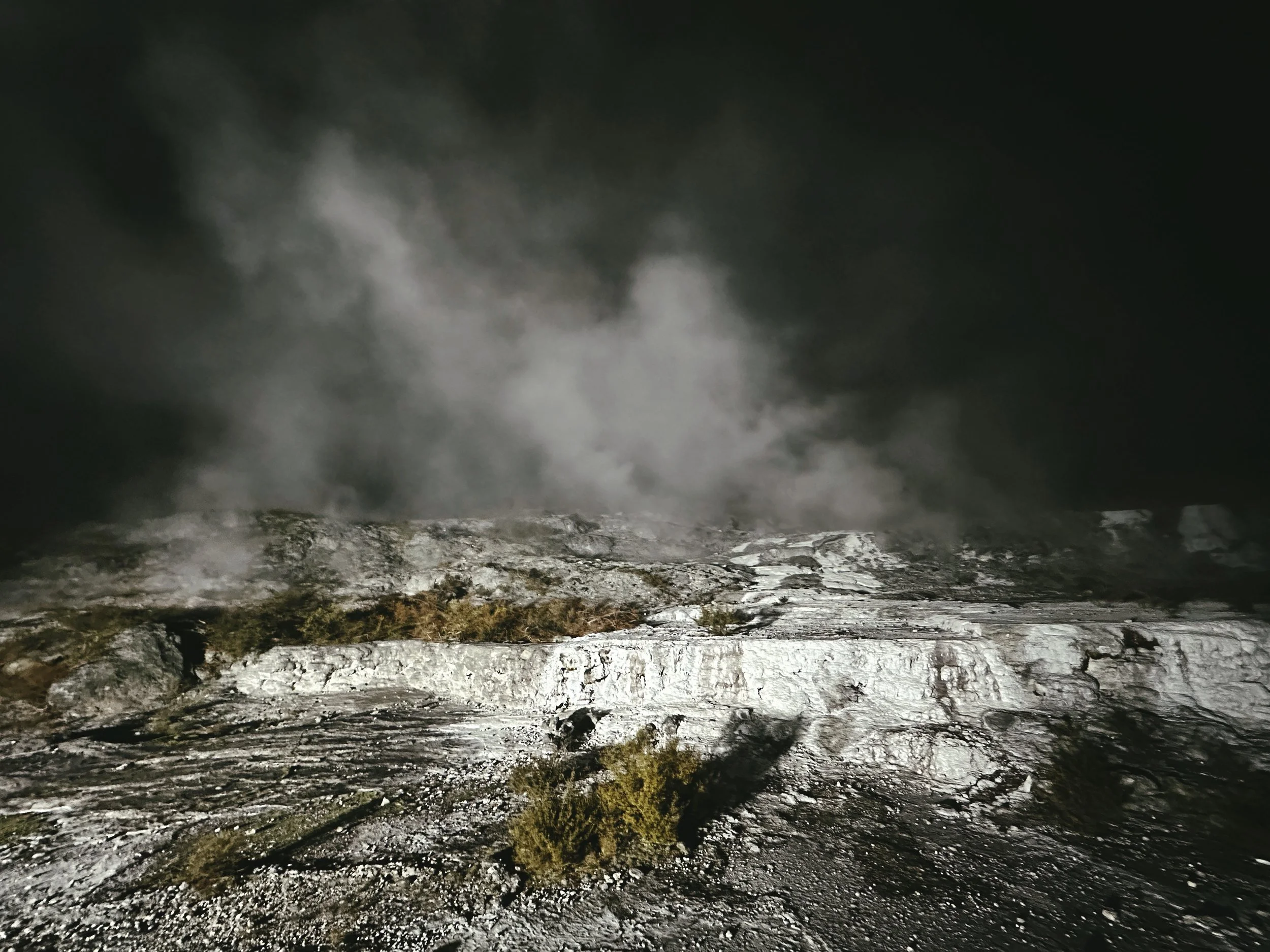  Aug 2024. Whakarewarewa Thermal Valley. 