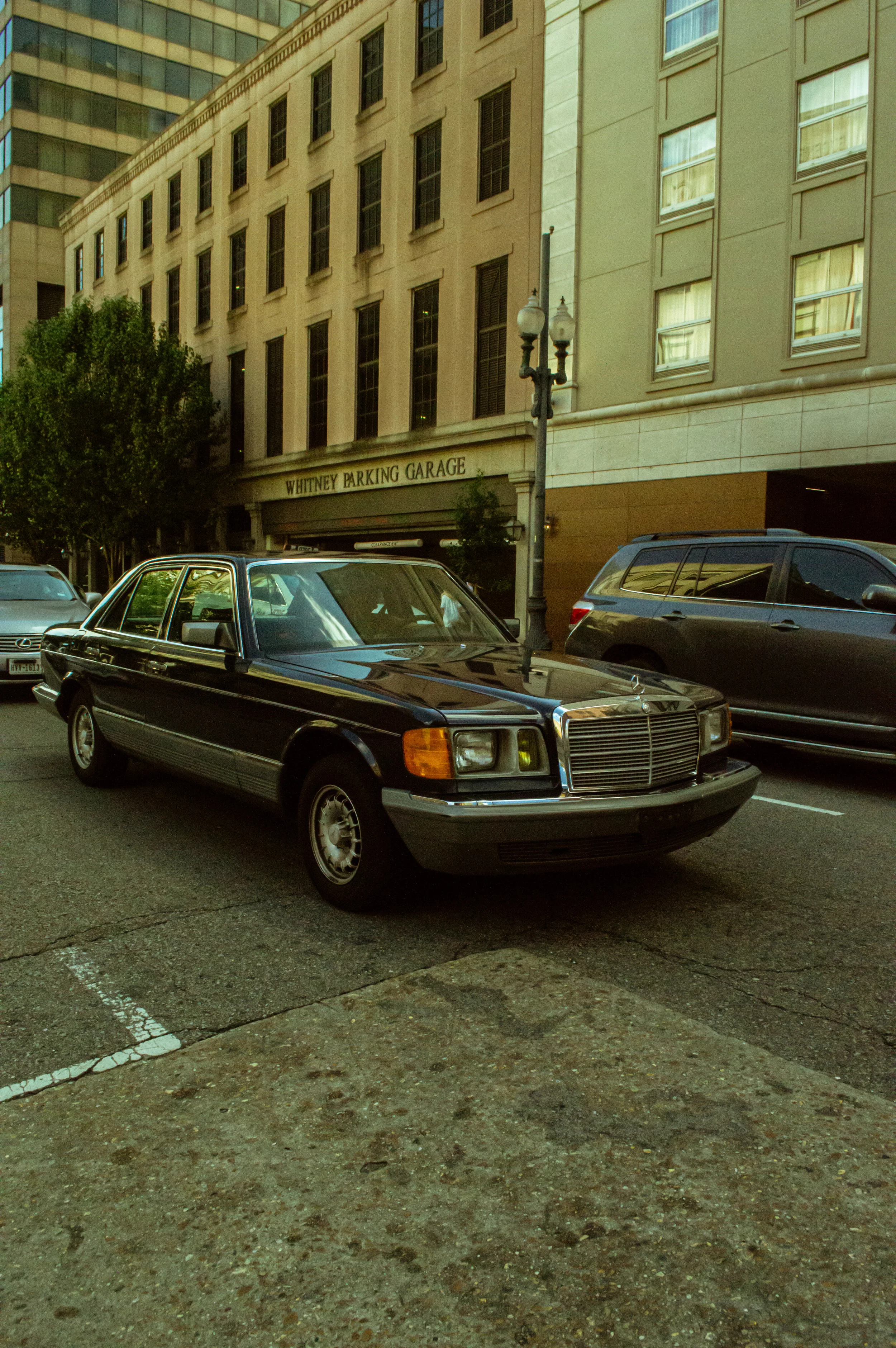 DSC_1701.jpg