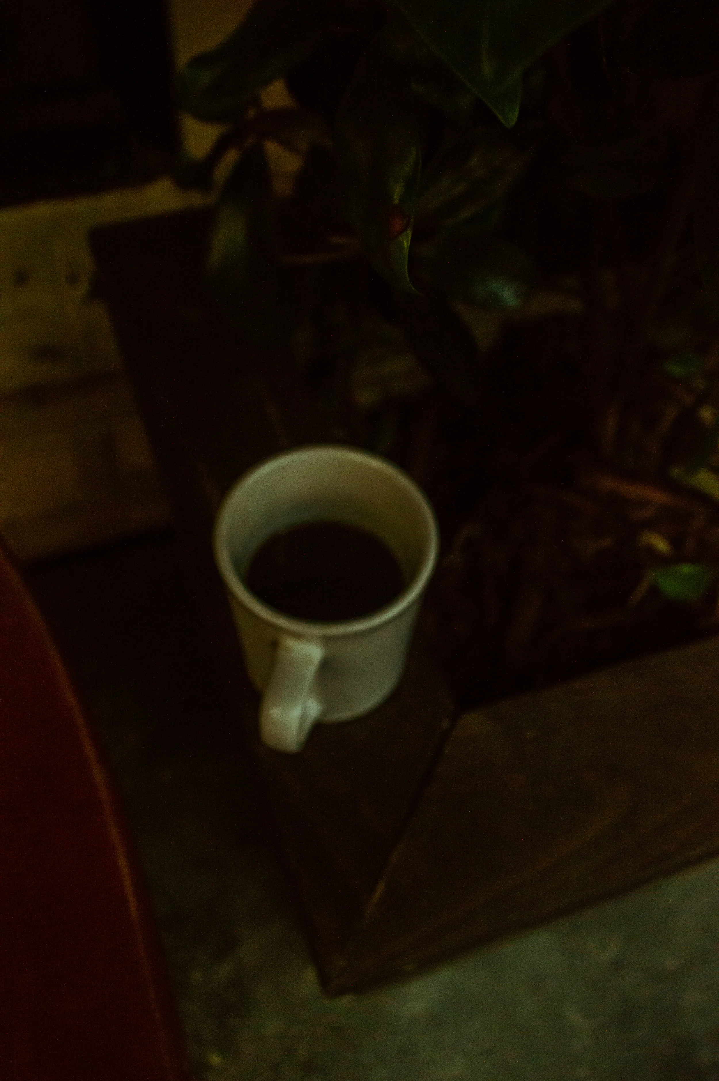 DSC_1759.jpg