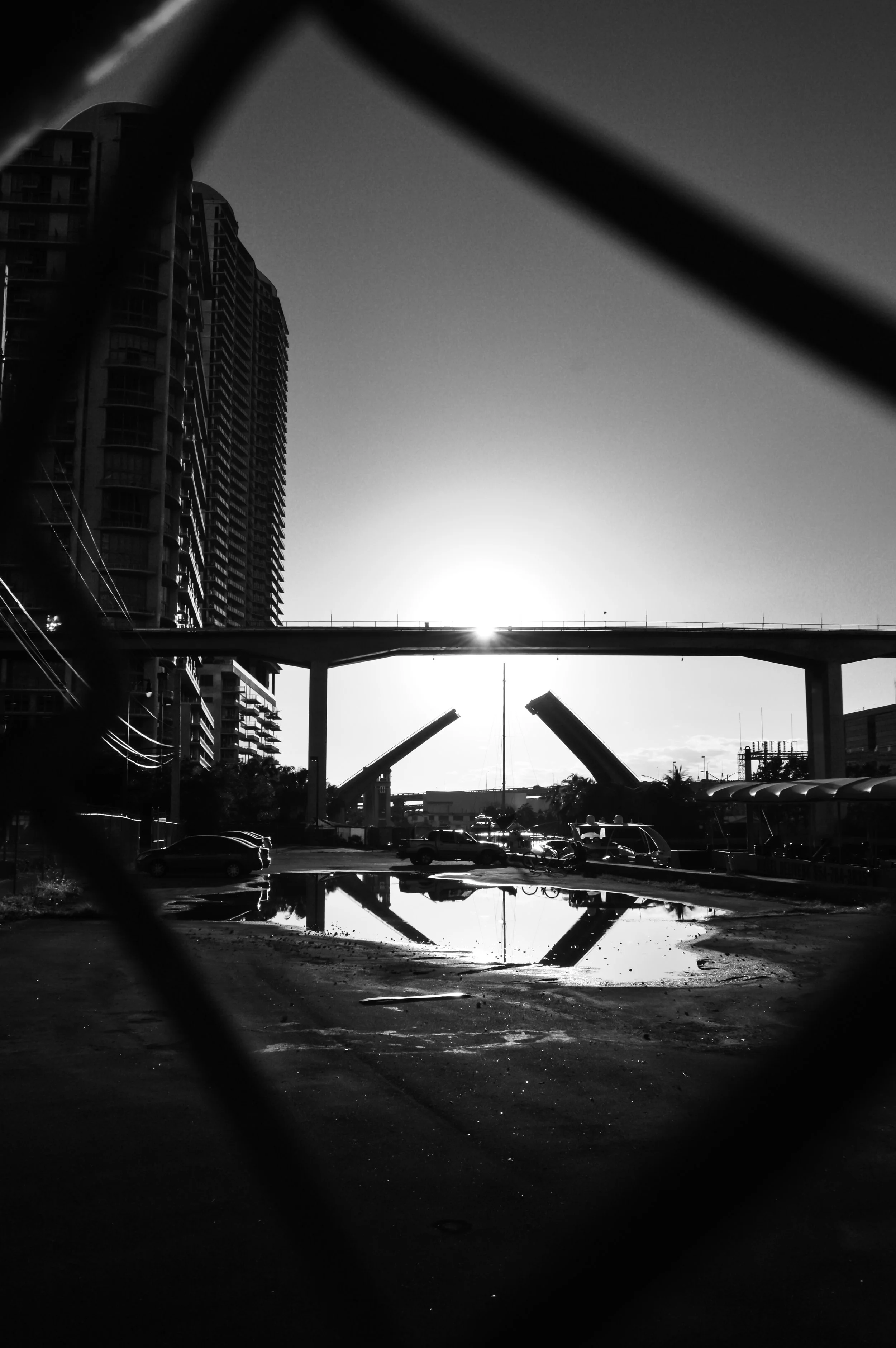 DSC_0160.jpg