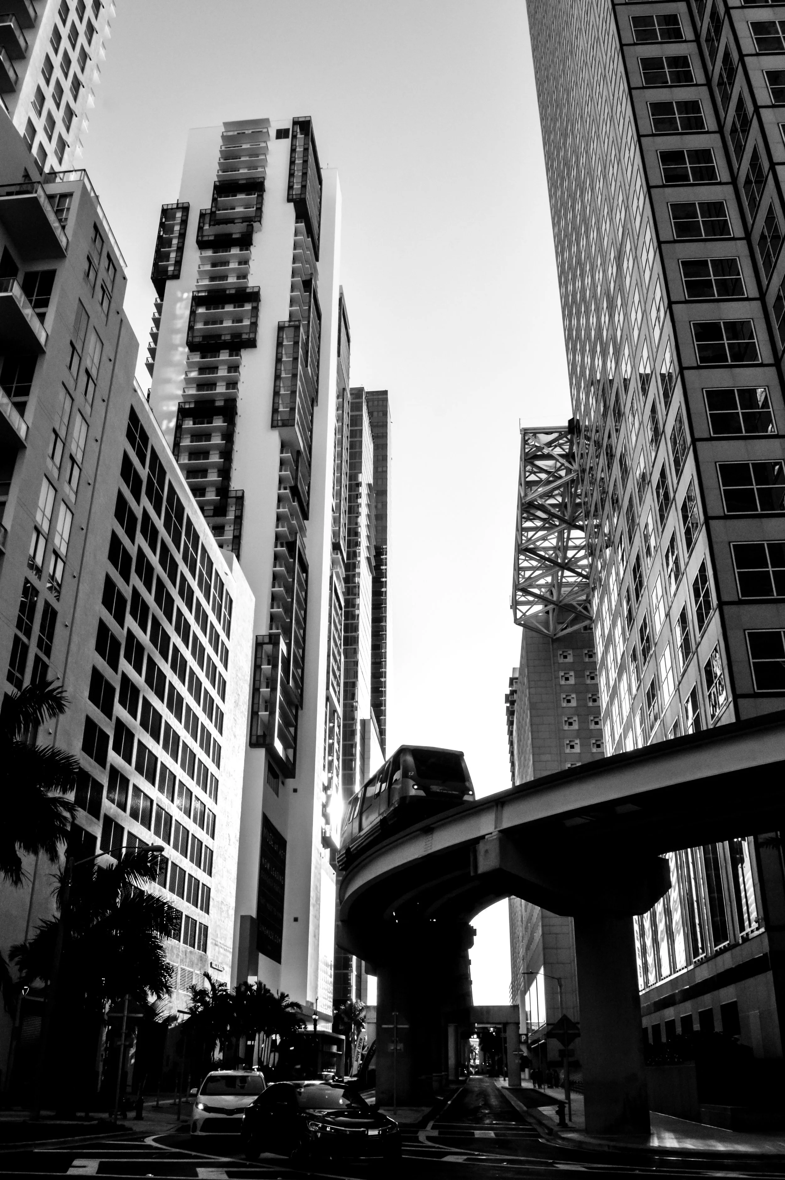 DSC_0124.jpg