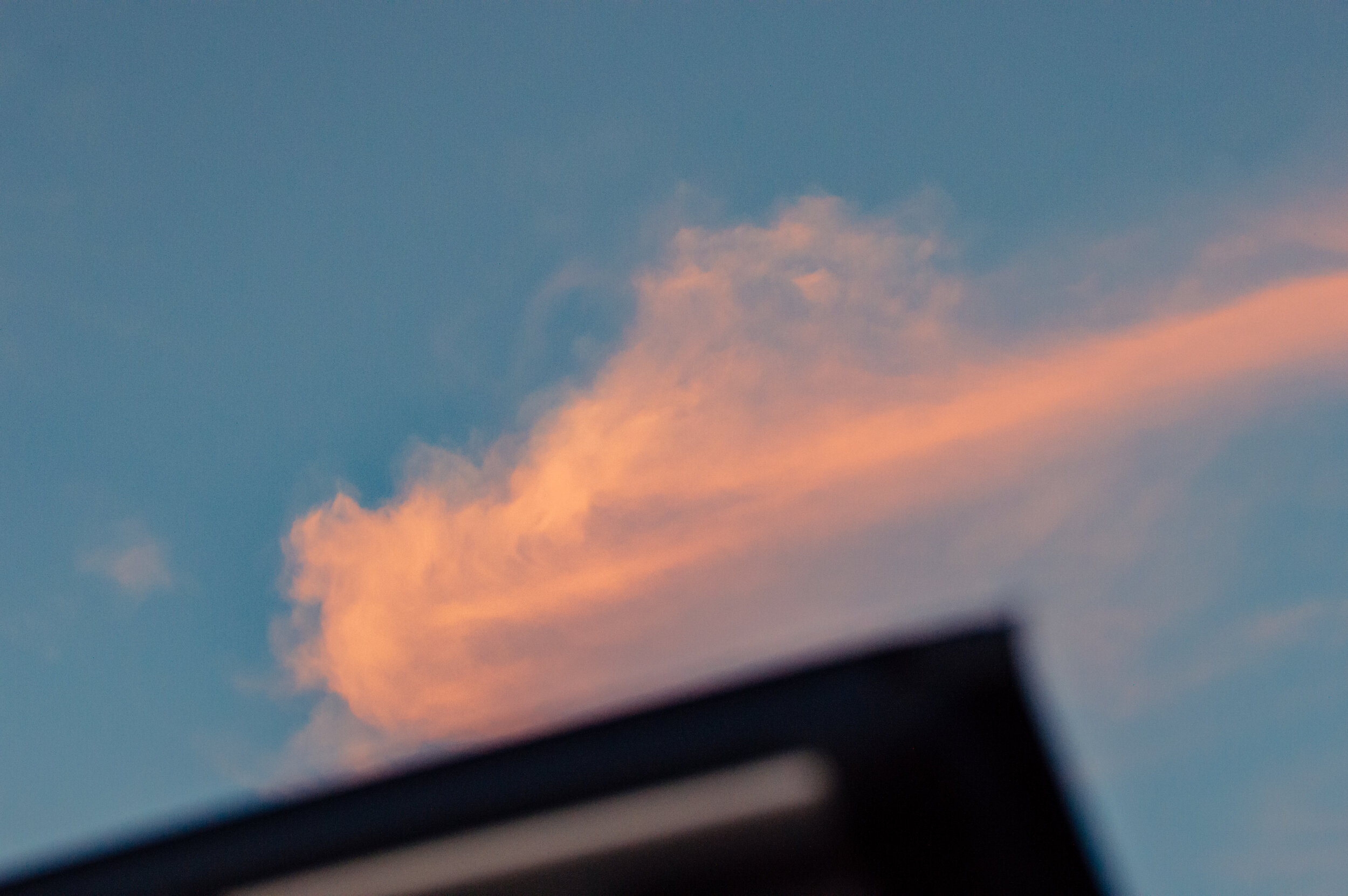 DSC_1495.jpg