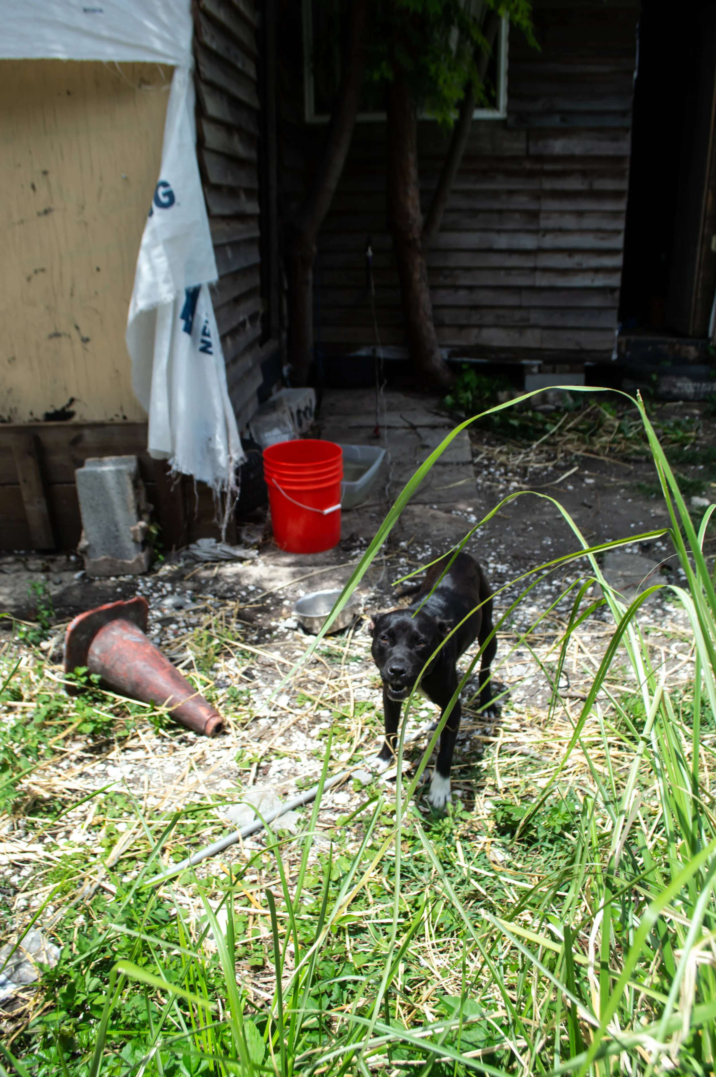 DSC_1150.jpg