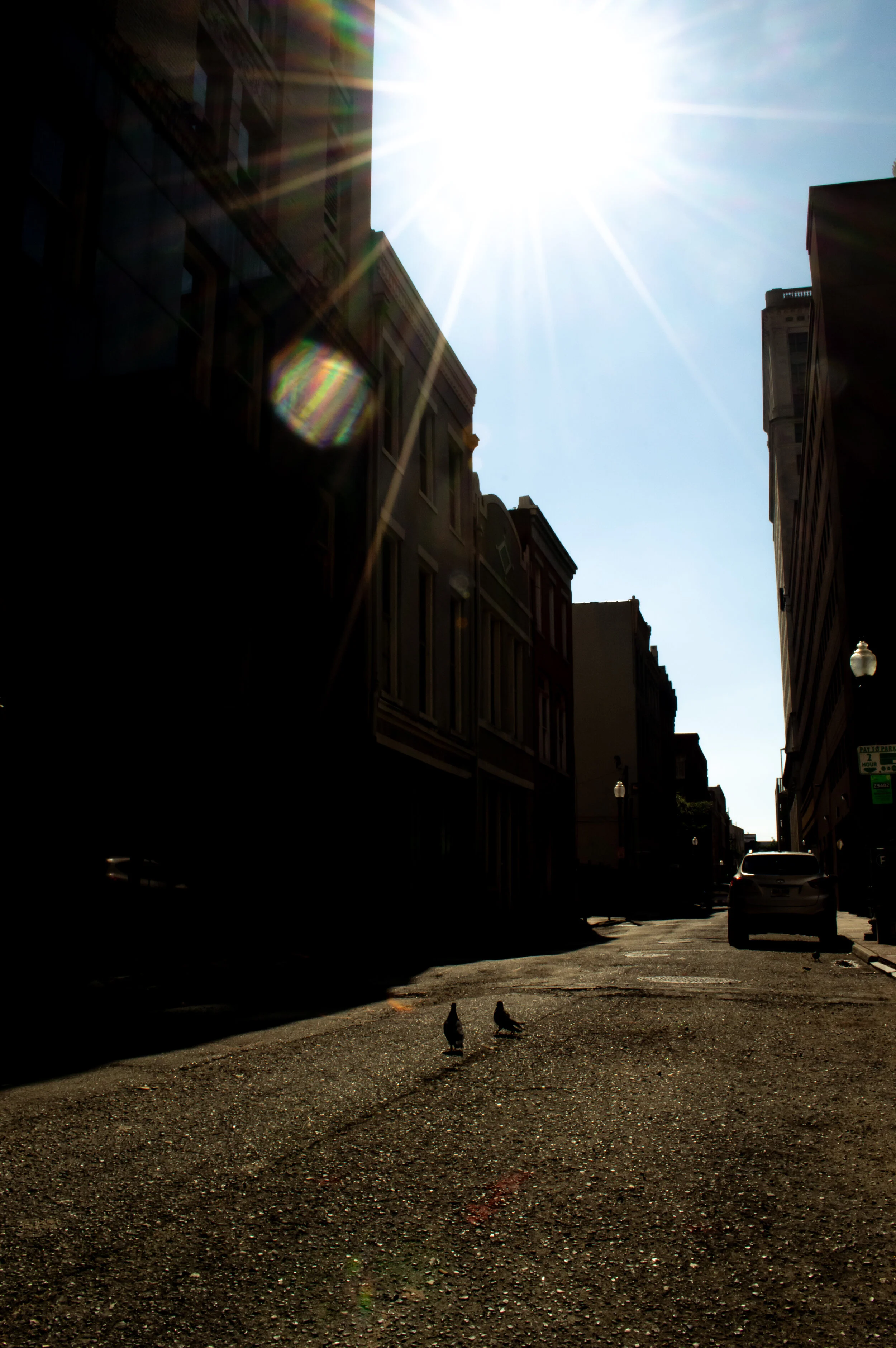 DSC_0176.jpg
