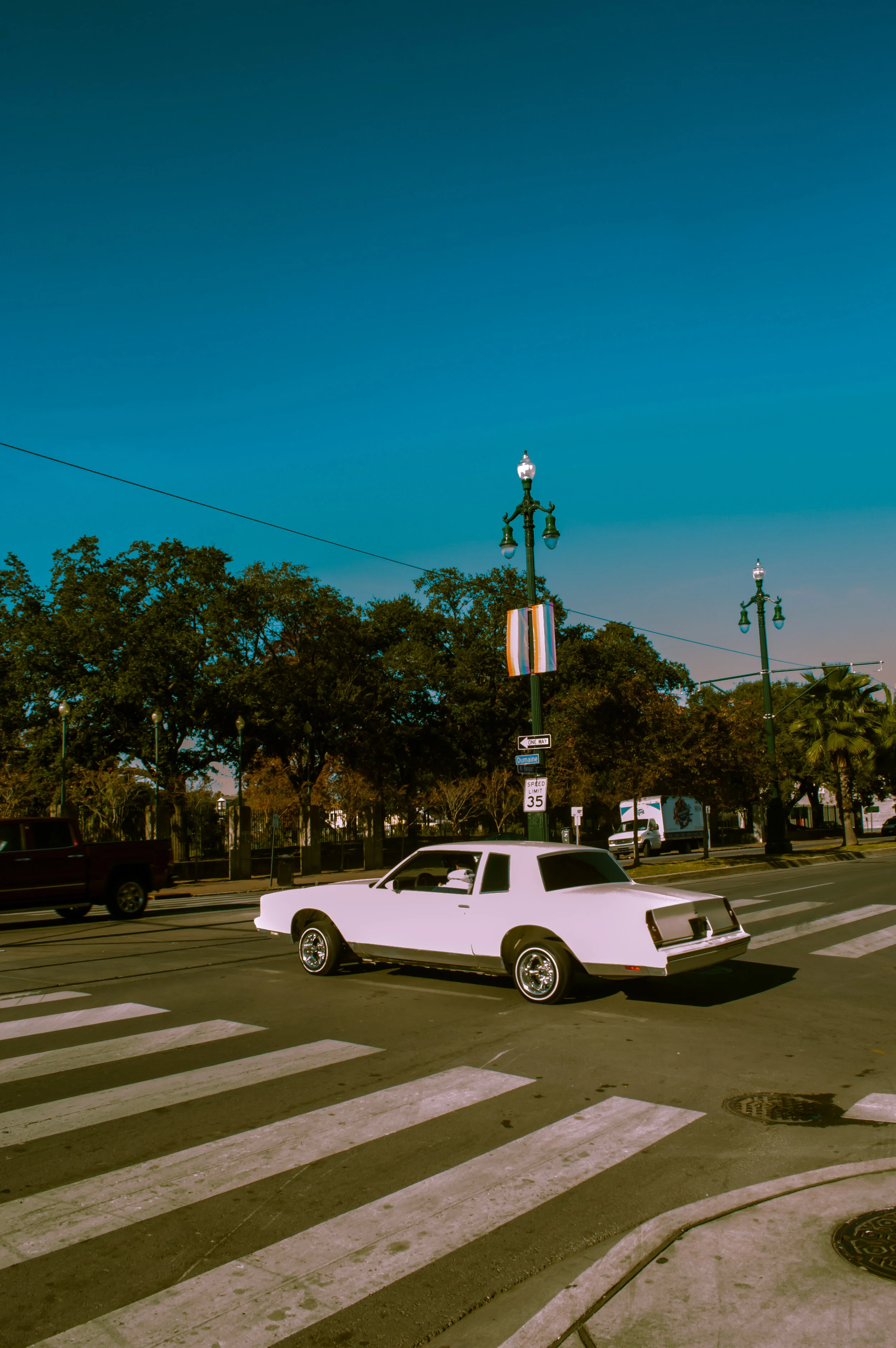 DSC_0994.jpg
