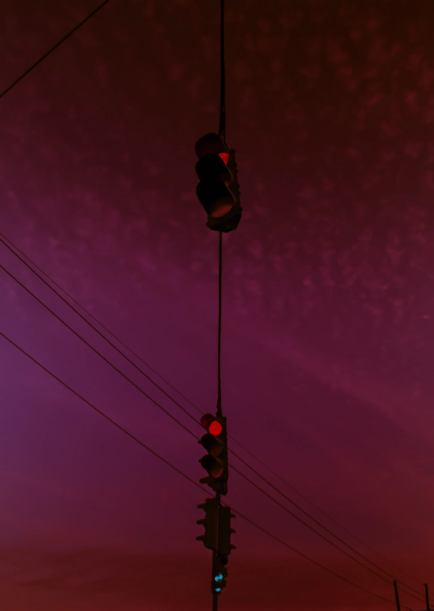 TJT_0758-4.jpeg