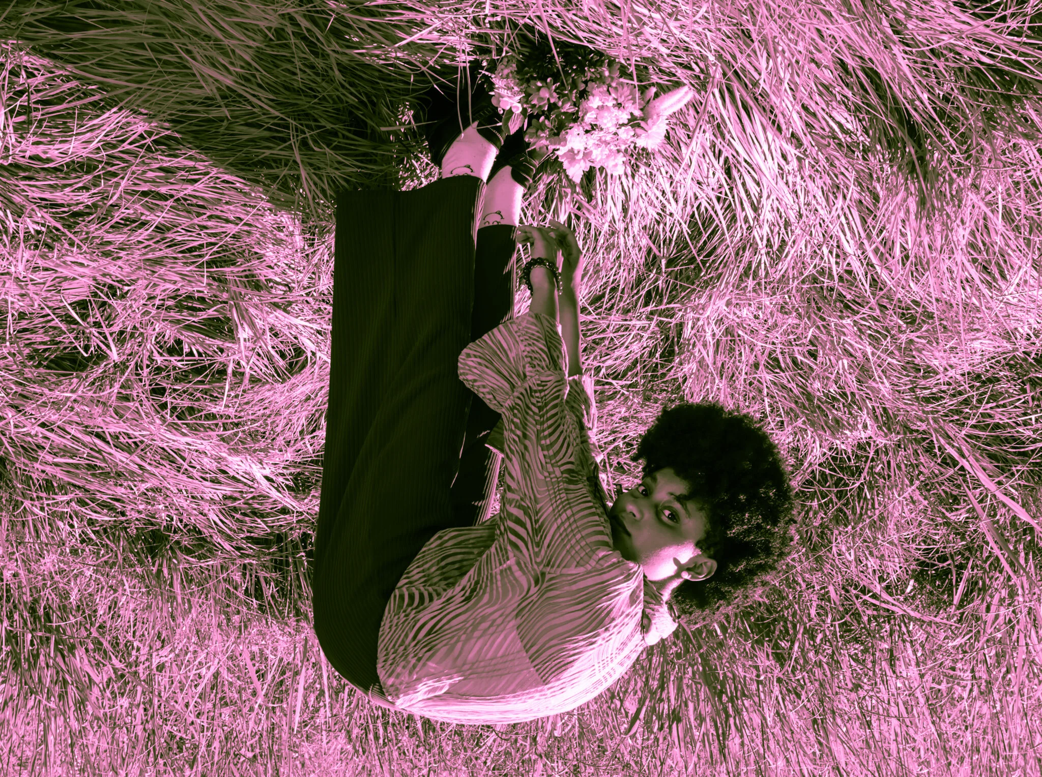 TJT_5855-3.jpg