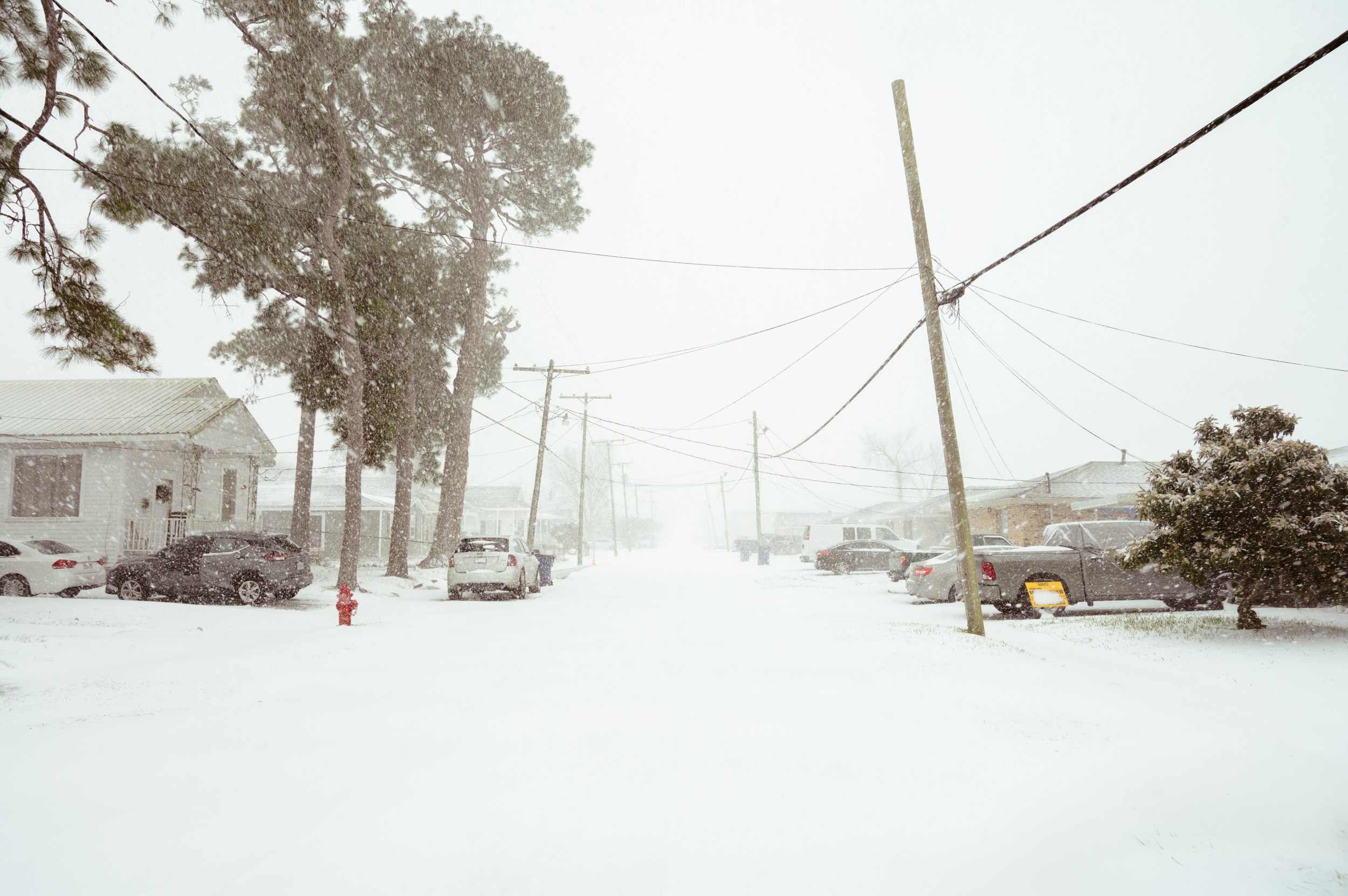 snowday1_21_25-3.jpg